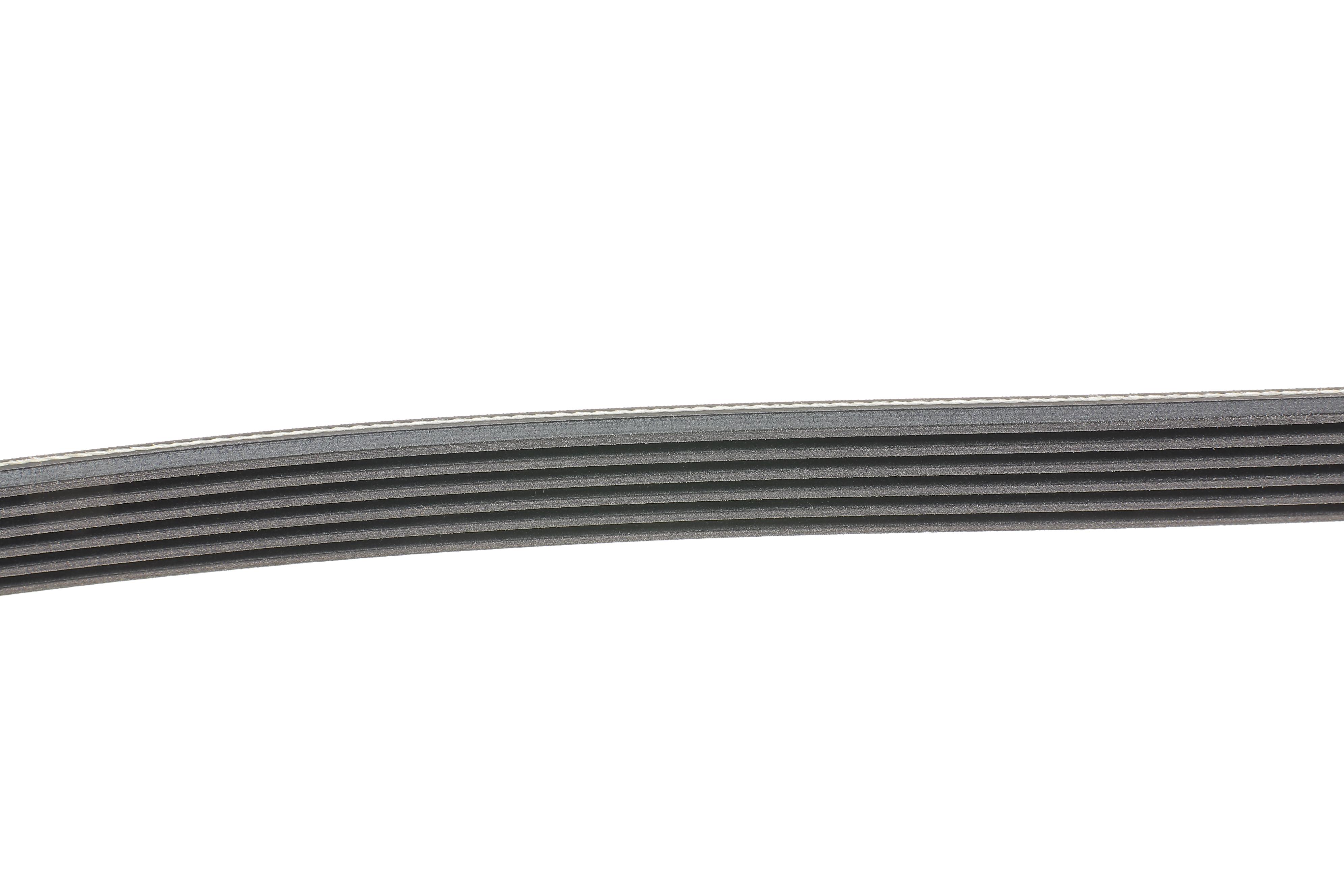 Ремінь генератора Fiat Scudo/Citroen Berlingo 1.9D/TD 96- (PS, -AC)