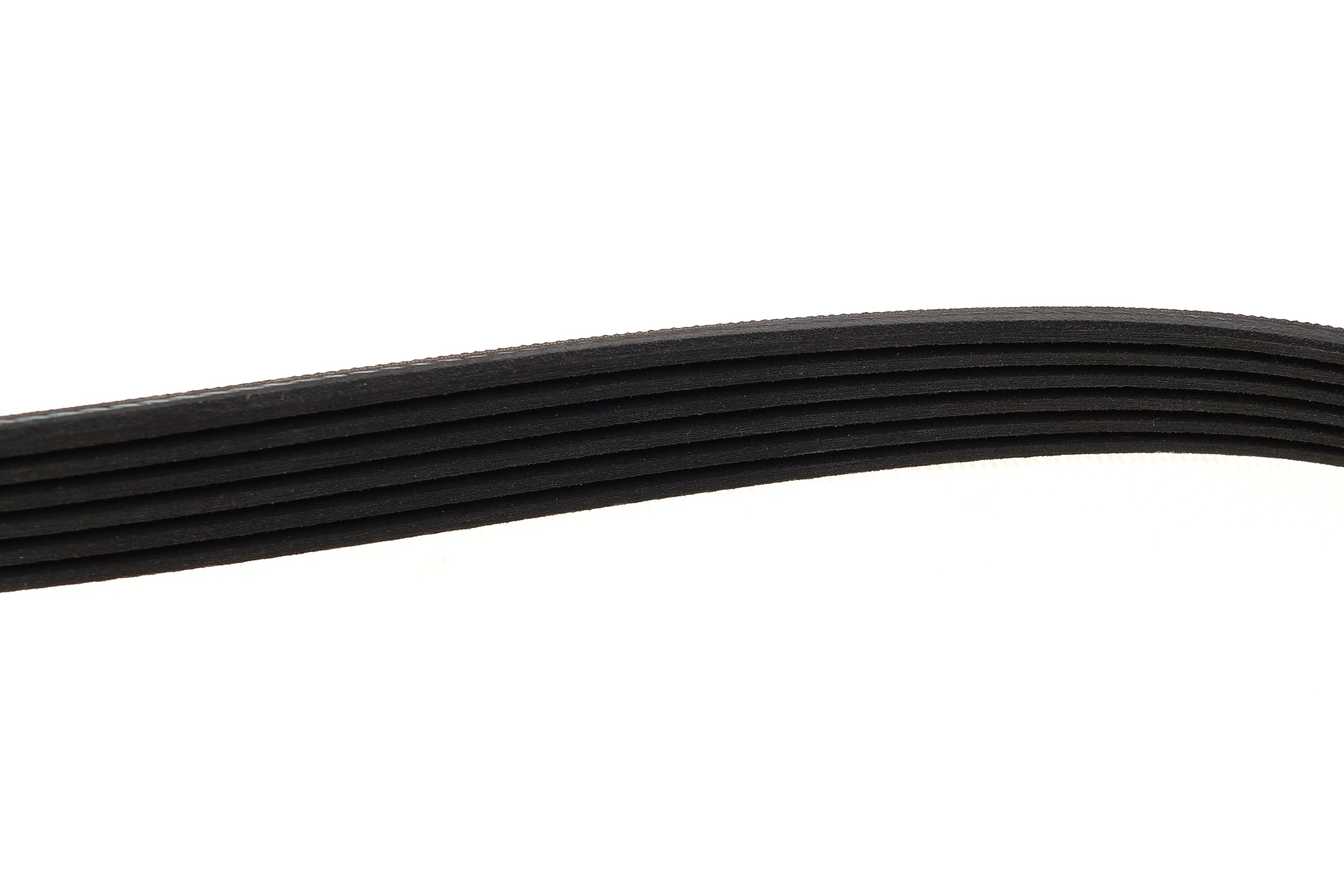 Ремінь генератора Ford Focus/Fiesta/Fusion/Mazda 2 1.25-1.6 98-