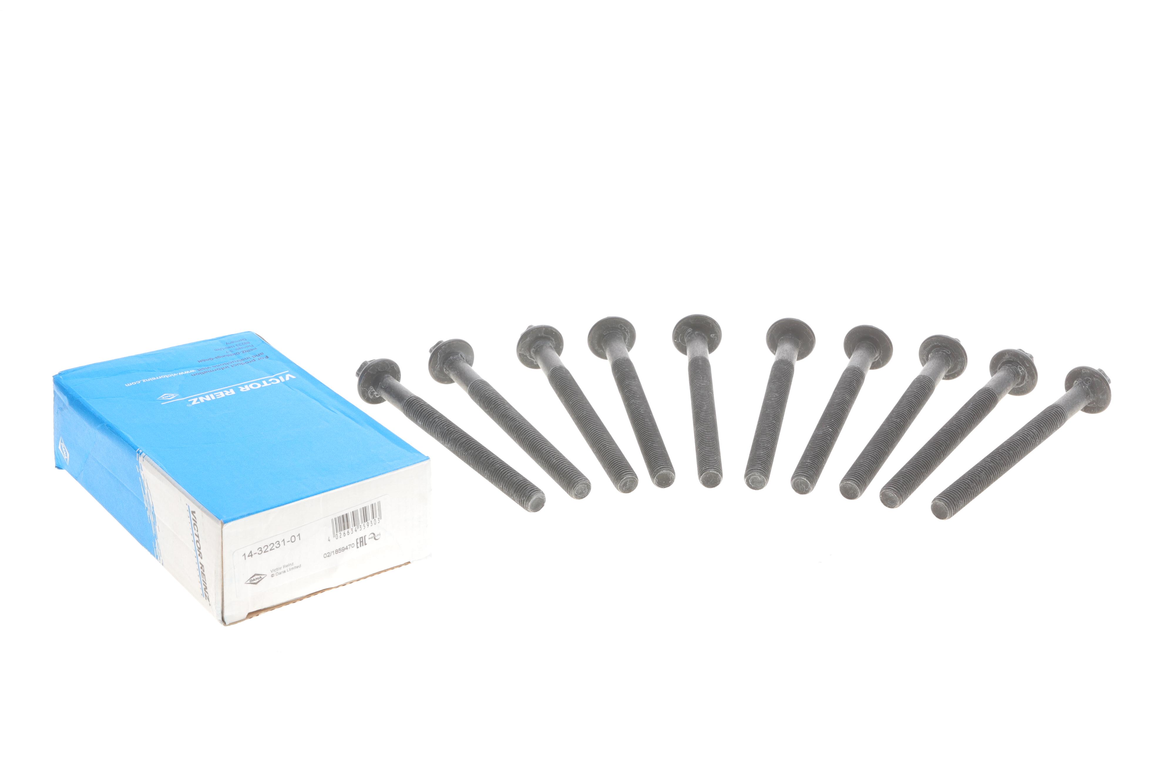 Болти головки (к-кт 10шт.) Renault Trafic 2.0-2.5dCi /Master 2.5dCi