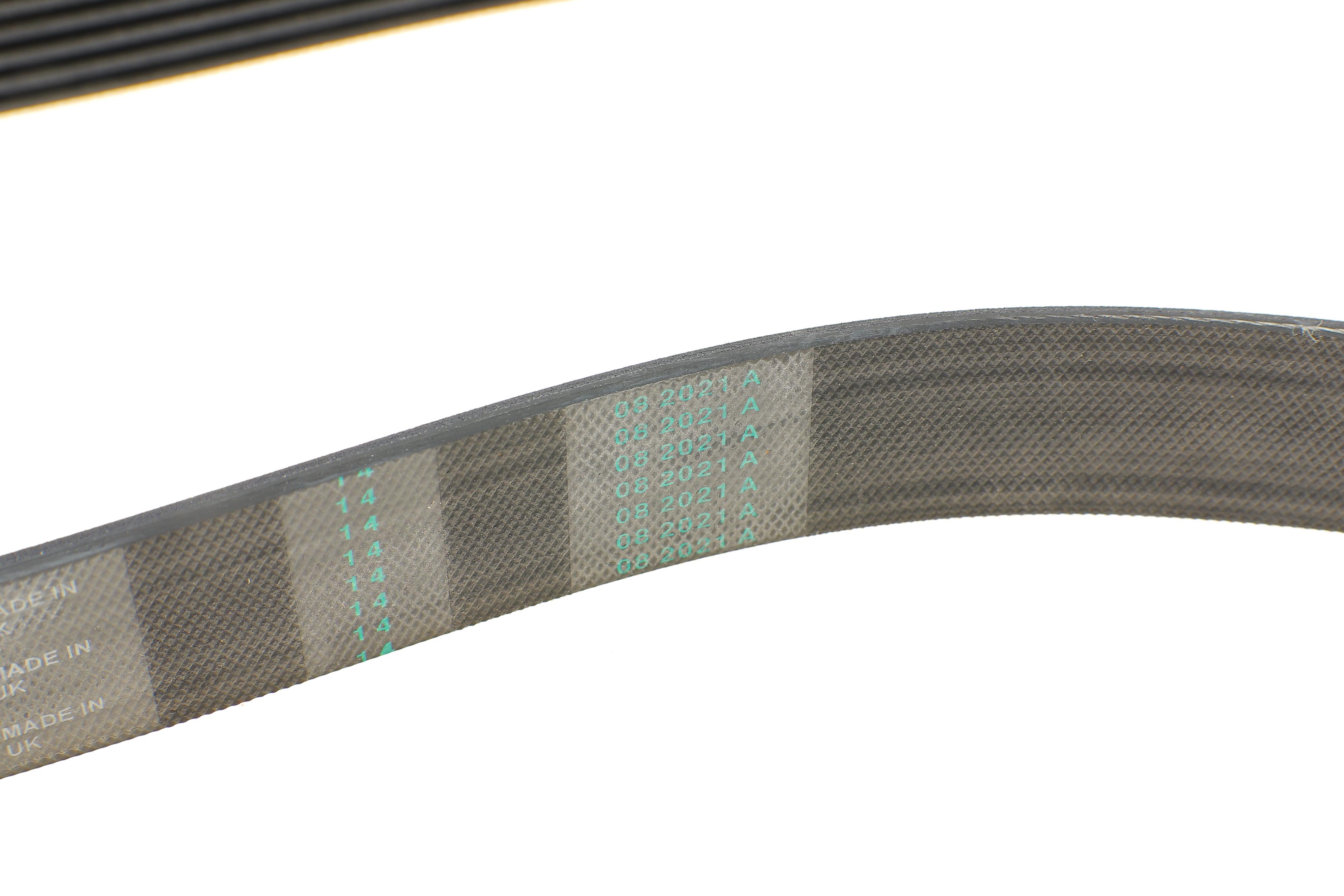 Ремінь генератора Renault Megane/Scenic 1.9dCi/2.0 03-/Nissan Juke 1.6 10-