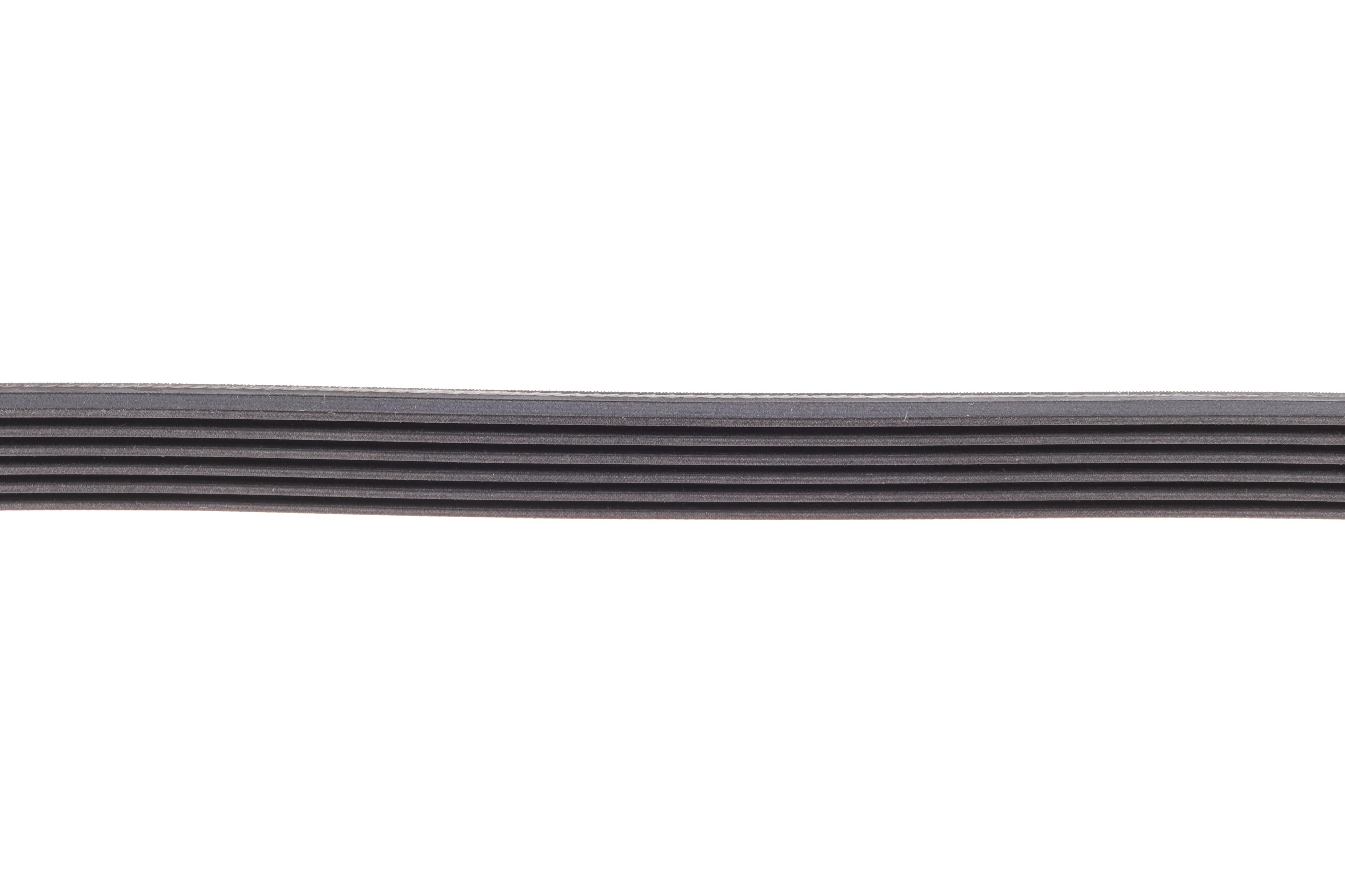 Ремінь генератора Fiat Ducato/Citroen Jumper 1.9D/TD 94-/Renault Trafic 2.5dCI 03-