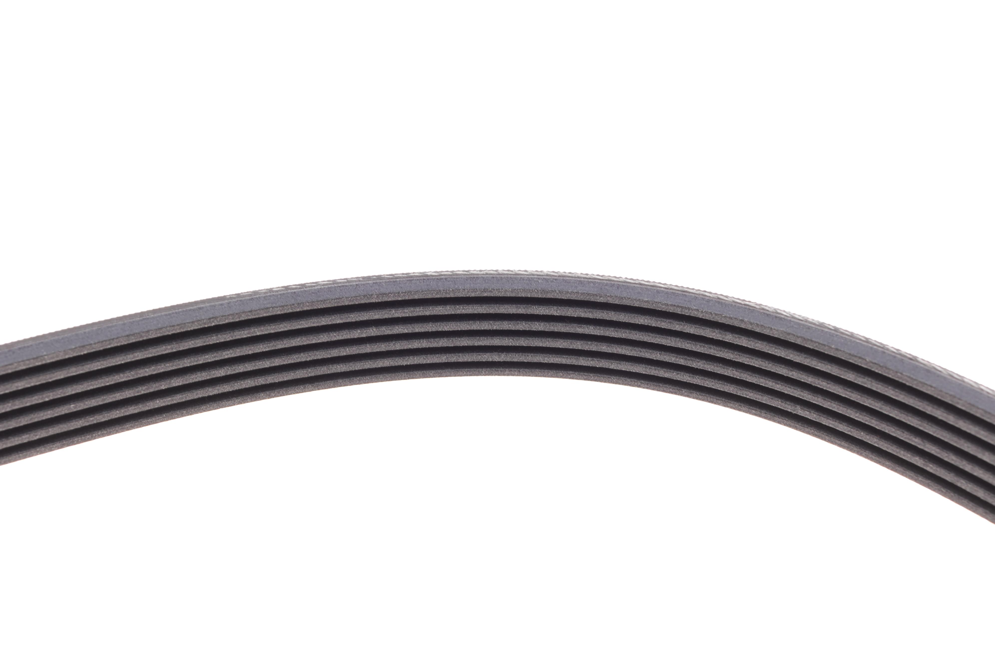 Ремінь генератора Ford Connect 1.8TDCI