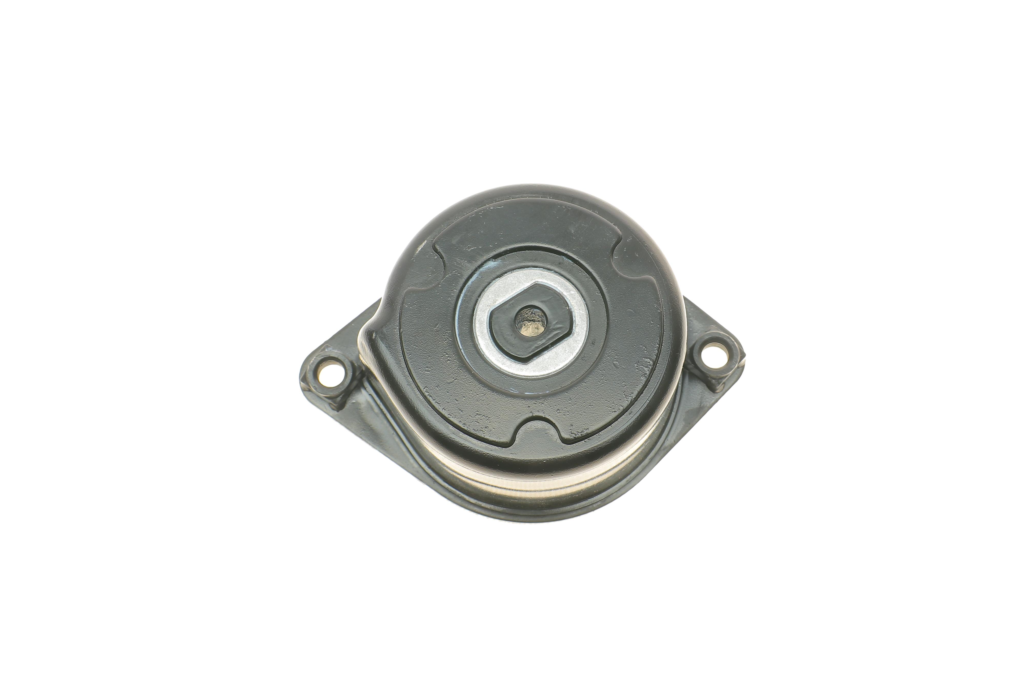 Ролик генератора BMW 3 (E46)/5 (E39)/7 (E38)/X5 (E53) 98-07 (натяжний) (66х28)