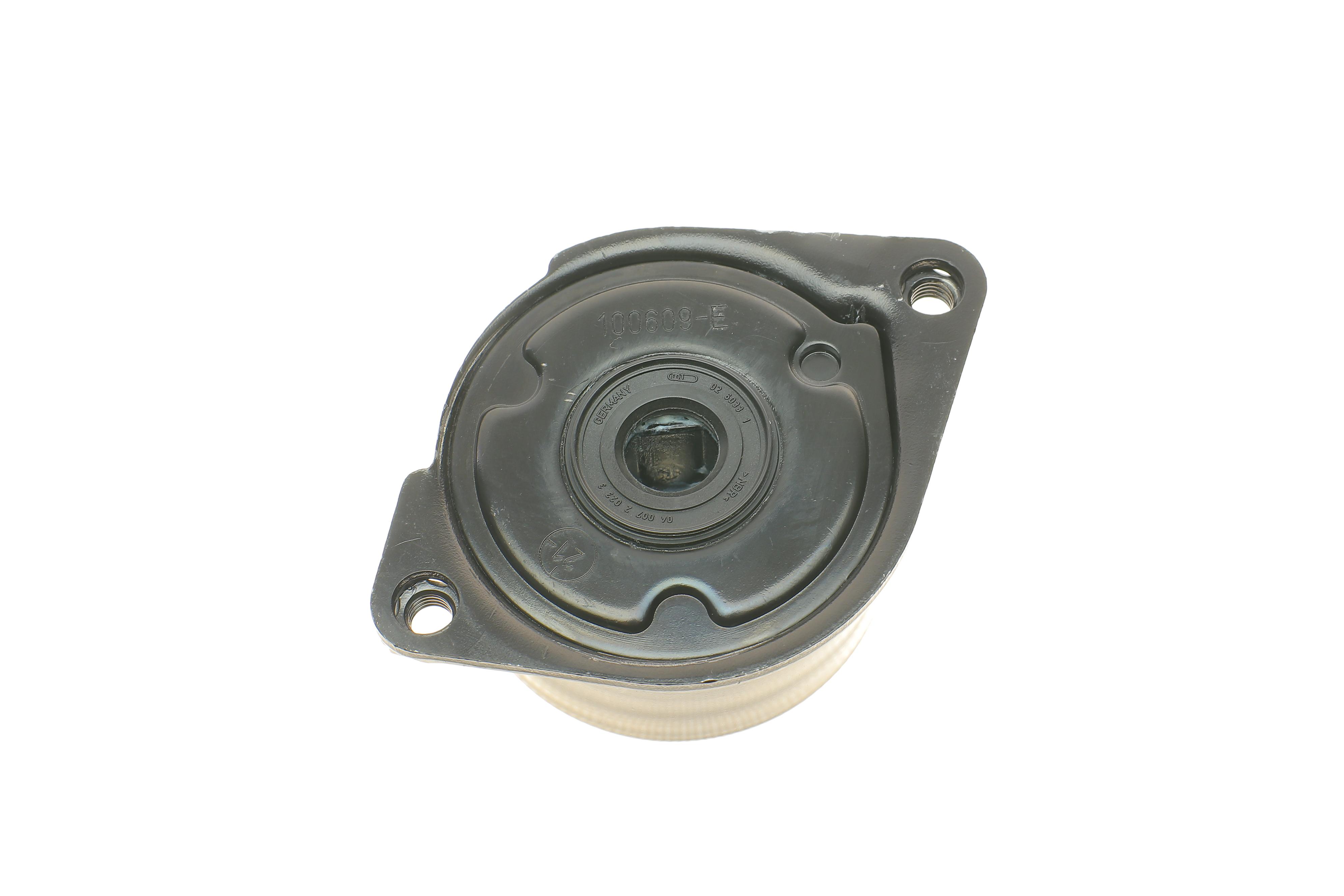 Ролик генератора BMW 3 (E46)/5 (E39)/7 (E38)/X5 (E53) 98-07 (натяжний) (66х28)