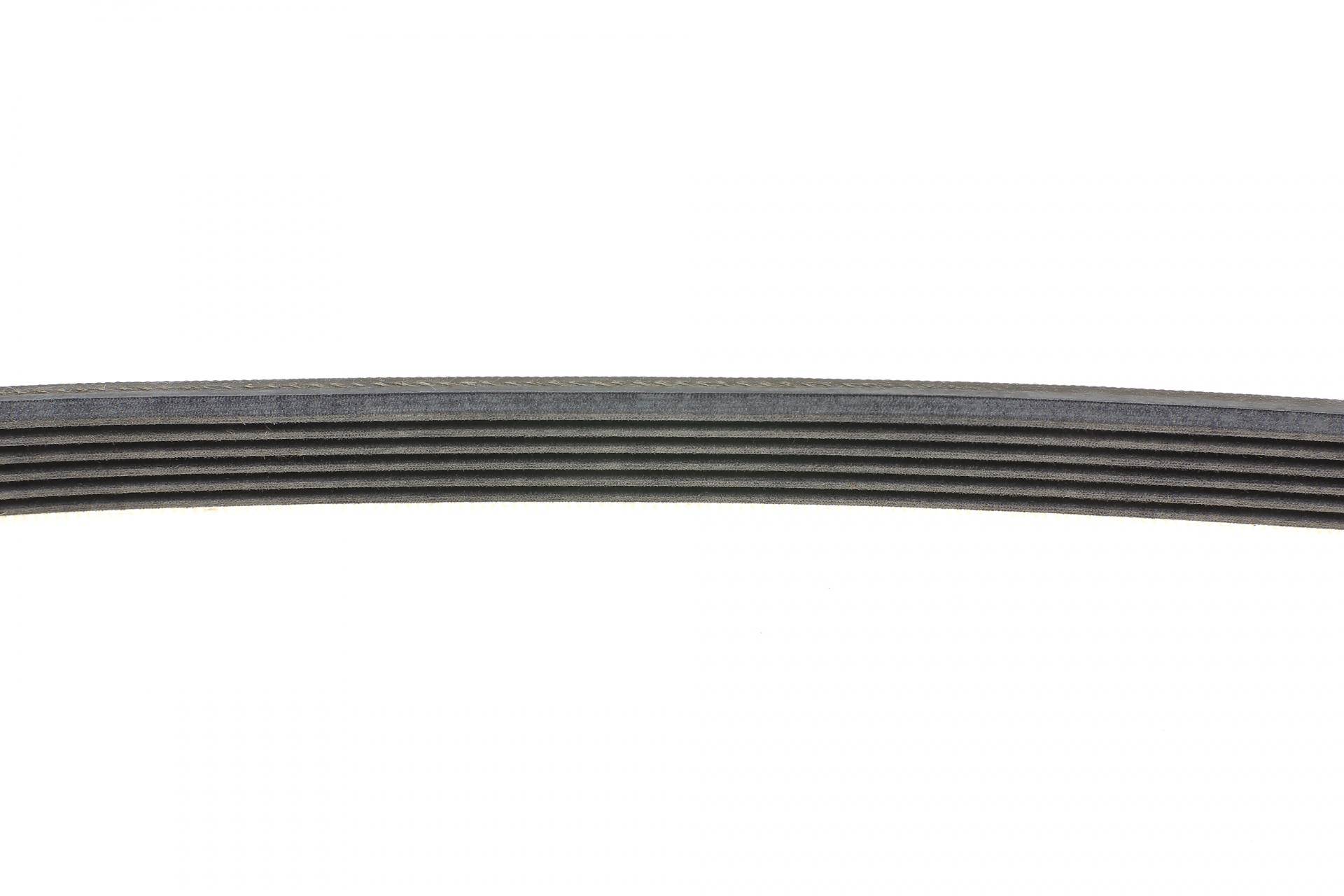 Ремінь генератора Ford Fiesta/Focus