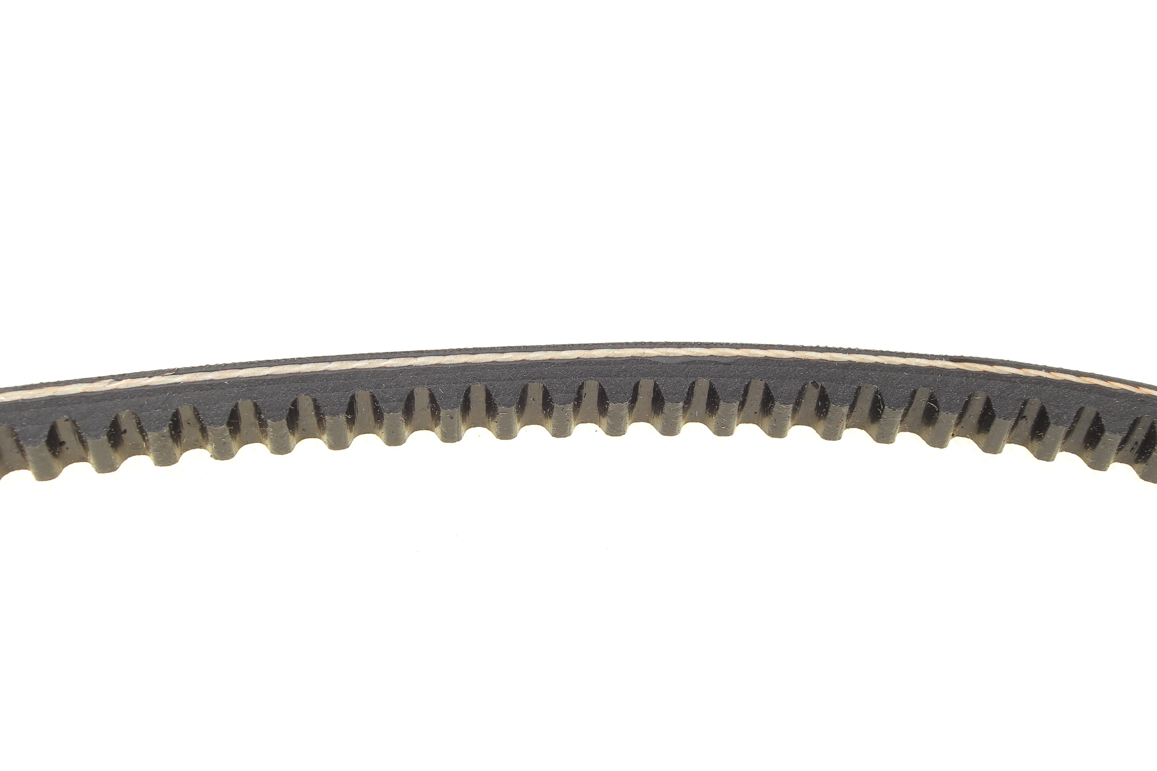 Ремінь генератора Citroen Jumpy/Jumper/Berlingo/T4 1.9D/TD