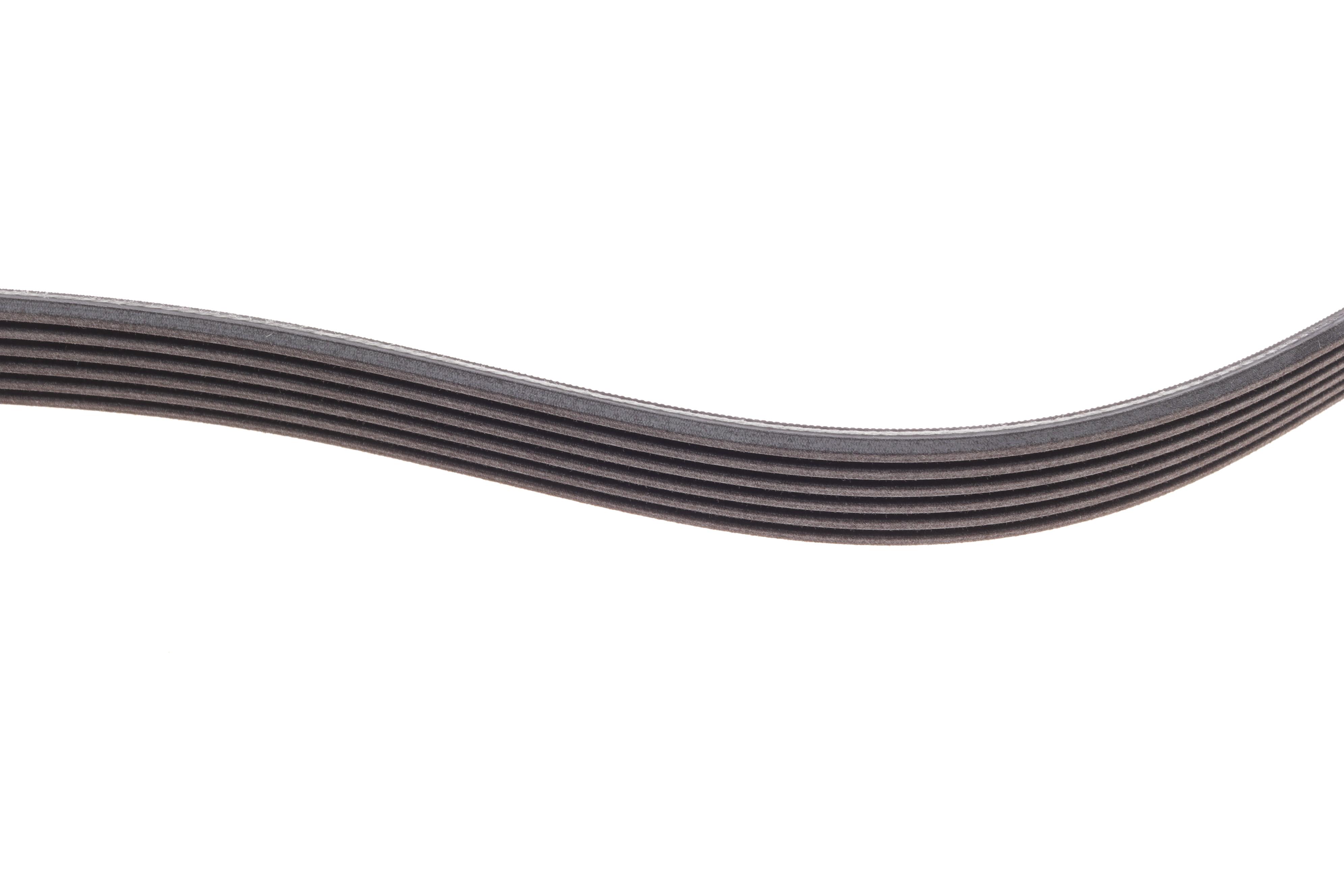 Ремінь генератора Skoda Octavia/VW Golf 1.6-2.0/1.9TDI 97-13/Passat B6/B7 1.8-2.0TSI/T5 1.9TDI 03-15