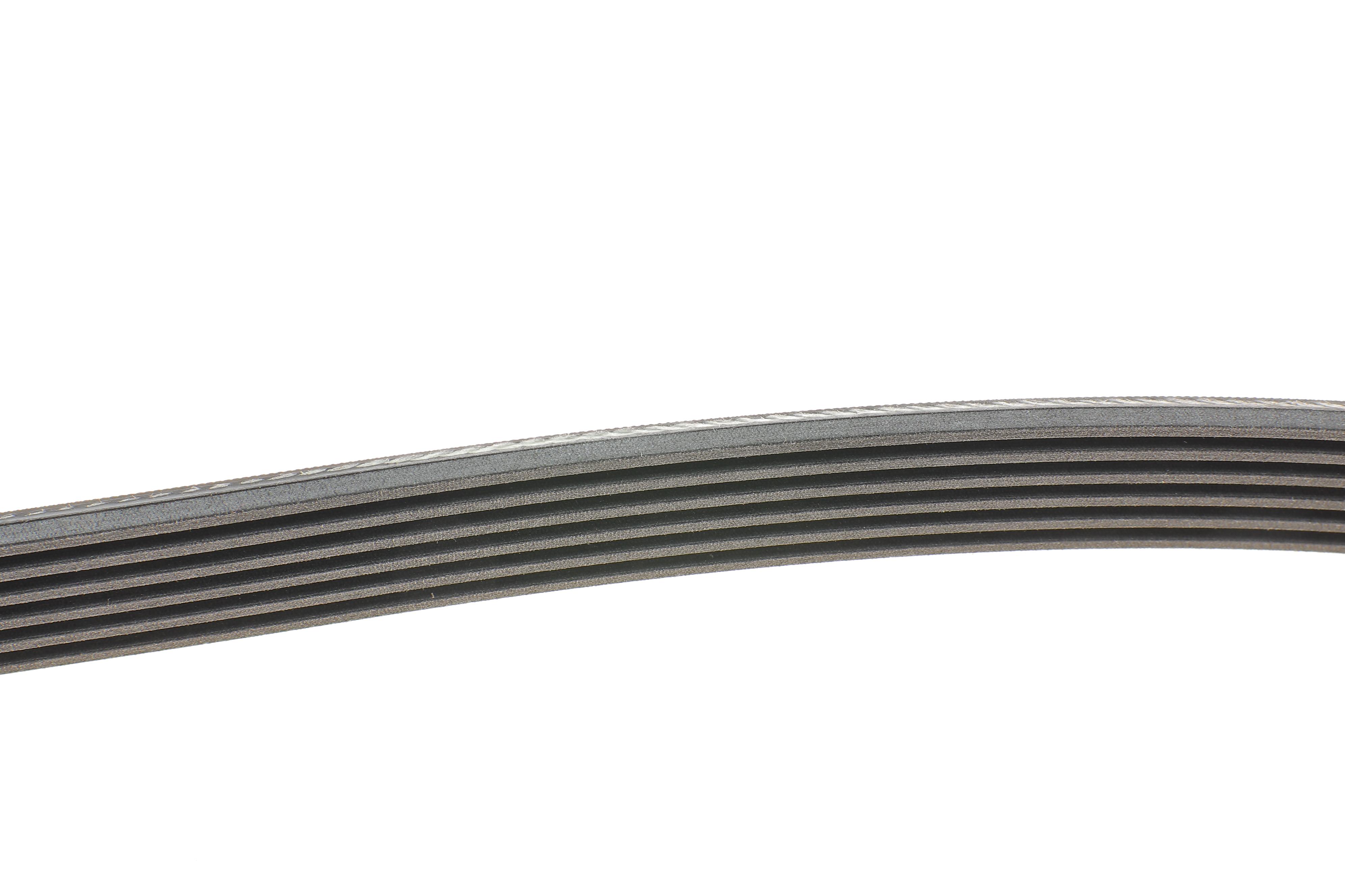 Ремінь генератора MB C-class (W202) 93-01/E-class (W124) 93-98/Ssangyong Korando 96-06/Dodge 06-