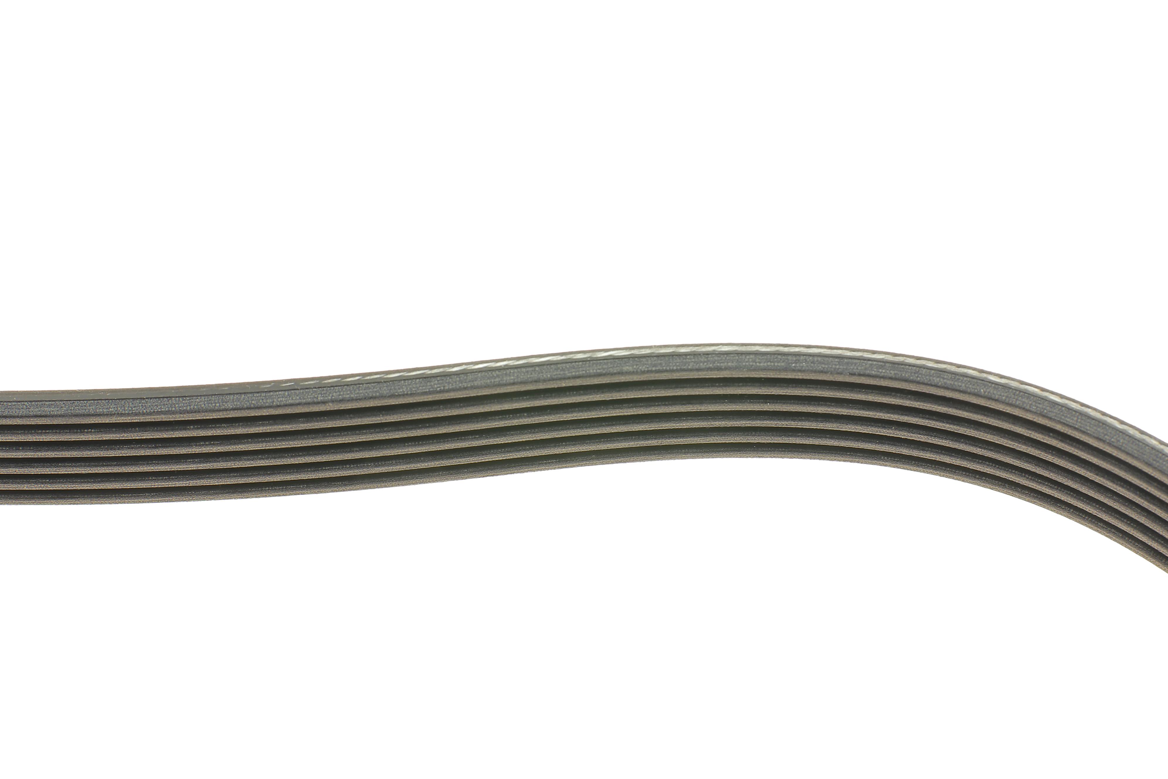 Ремінь генератора VW T6 2.0 TSI 15-