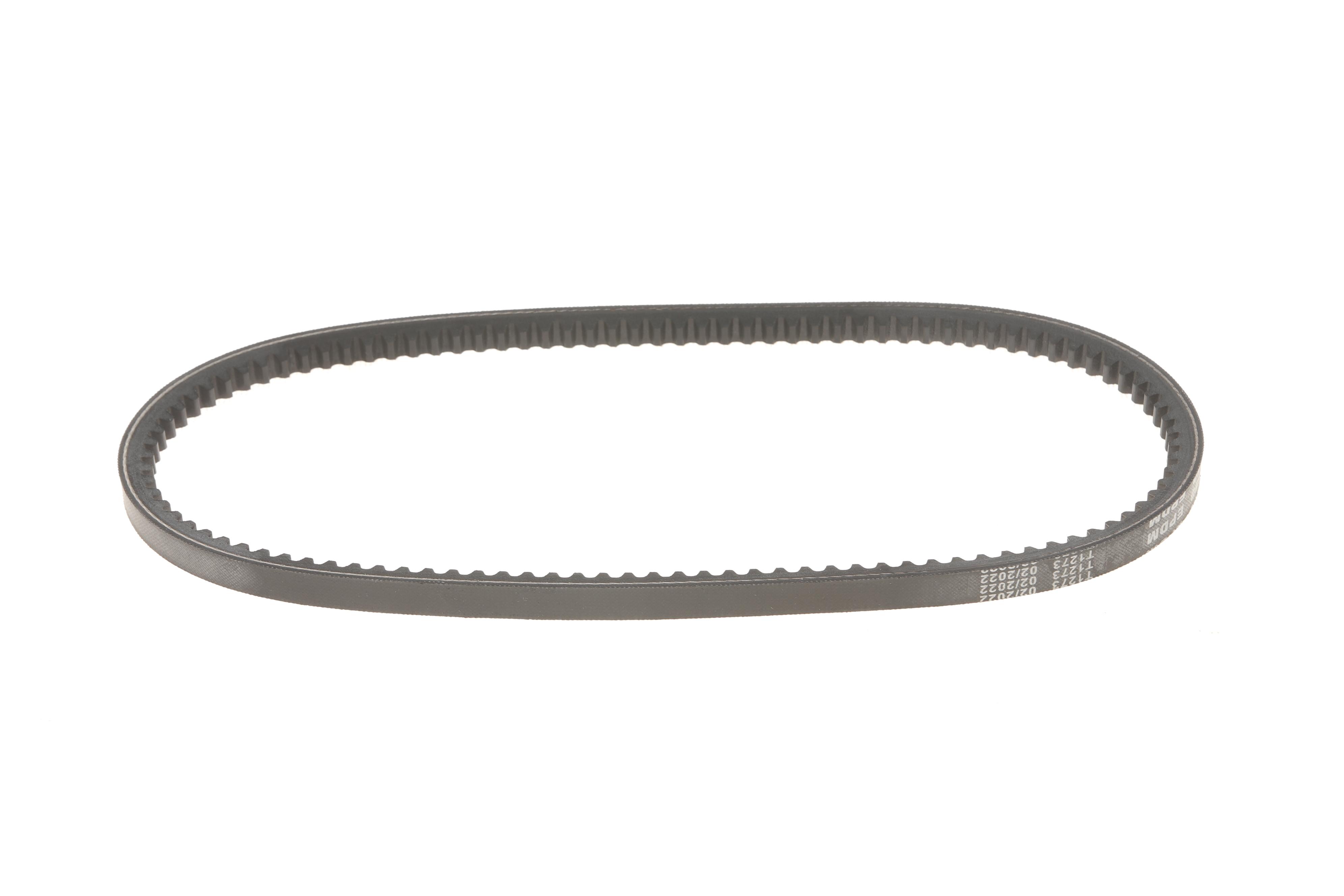 Ремінь генератора Citroen Jumpy/Jumper/Berlingo/T4 1.9D/TD (10x650)