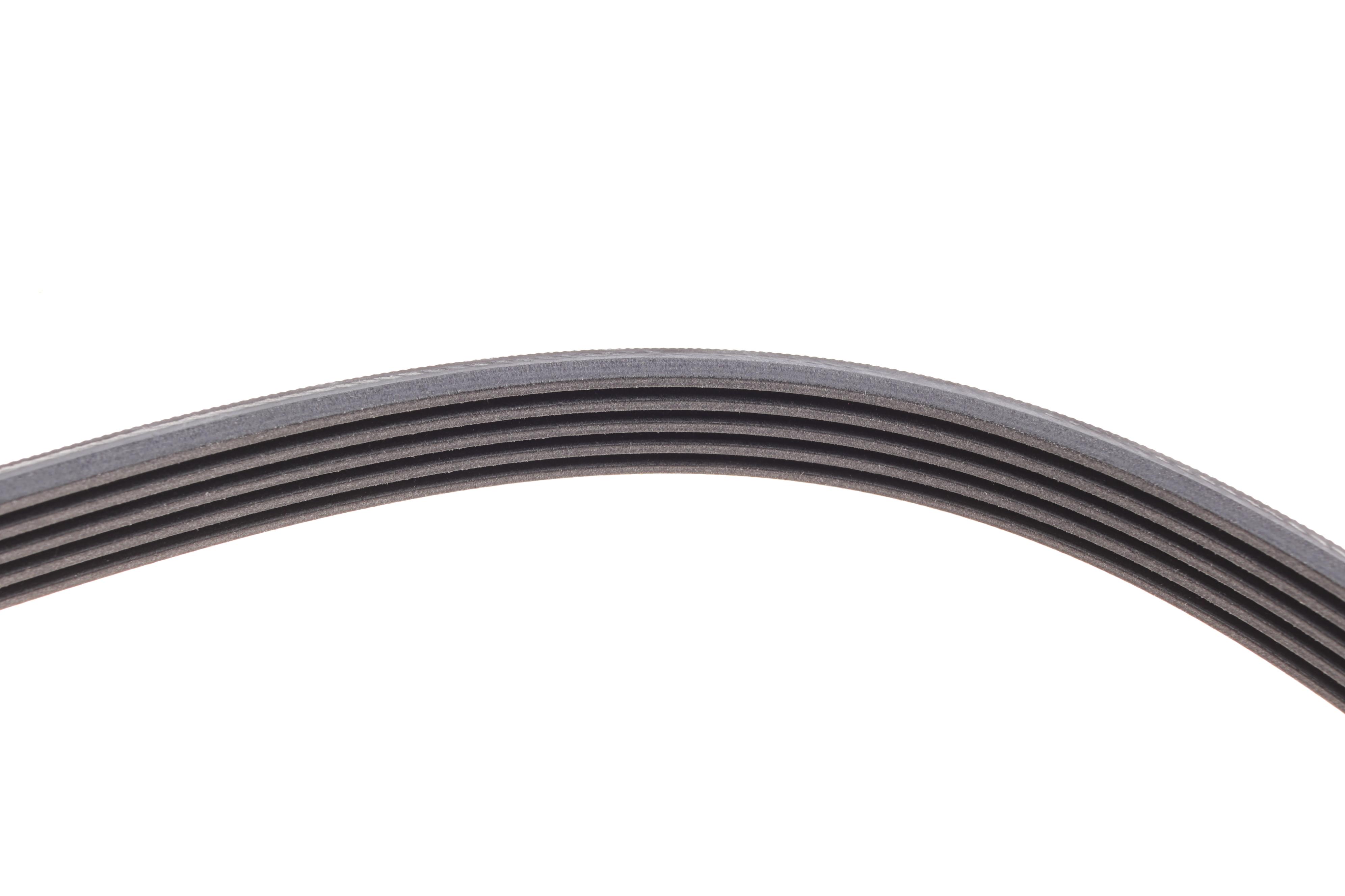 Ремінь генератора Opel Zafira/Astra 1.6/1.8 05-15/Fiat 1.6/1.8 05-/Chevrolet Orlando 1.8 11-