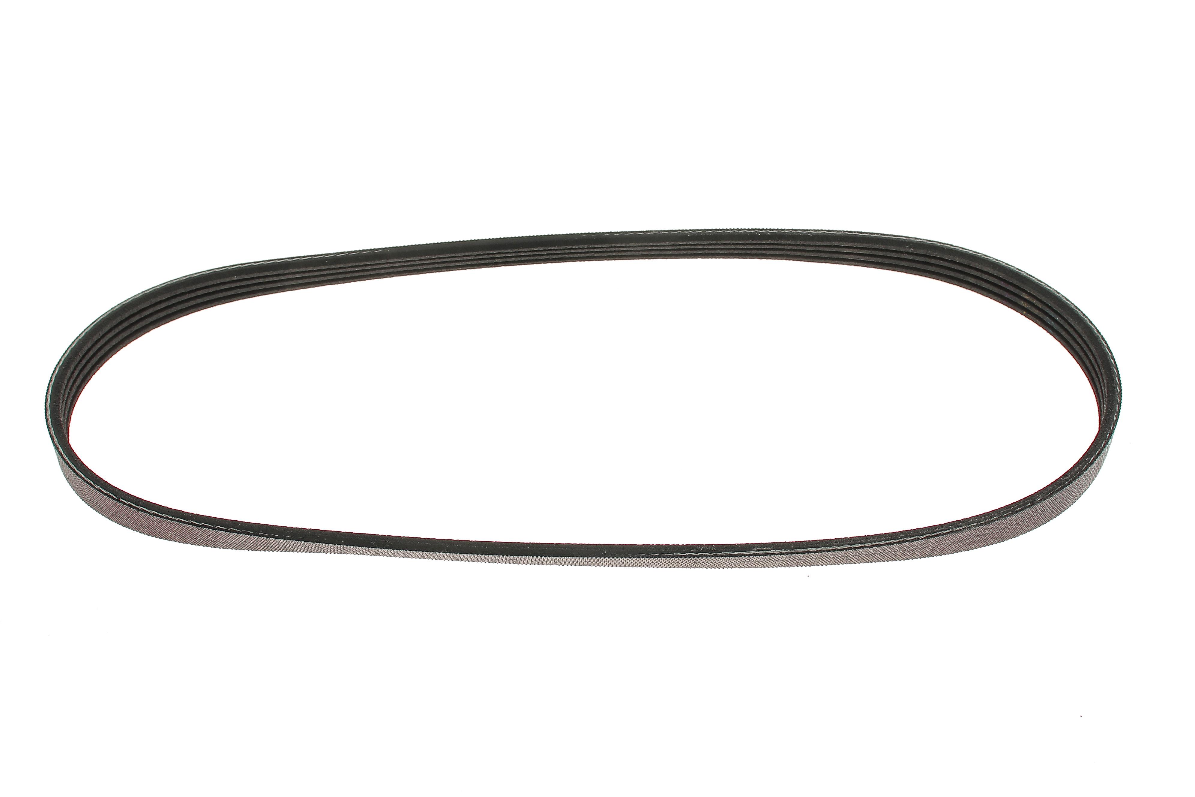 Ремінь генератора Ford Transit 2.0 TDCI 00-06