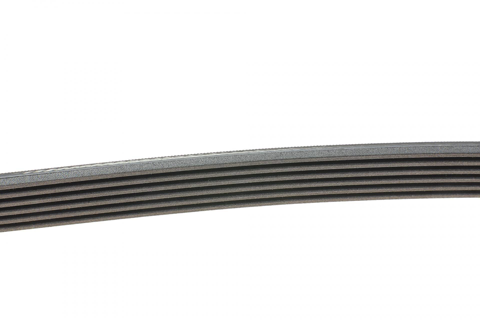 Ремінь генератора Citroen Berlingo/Jumpy/Fiat Scudo/Peugeot Partner 1.9D 98-/Hyundai Accent 02-05