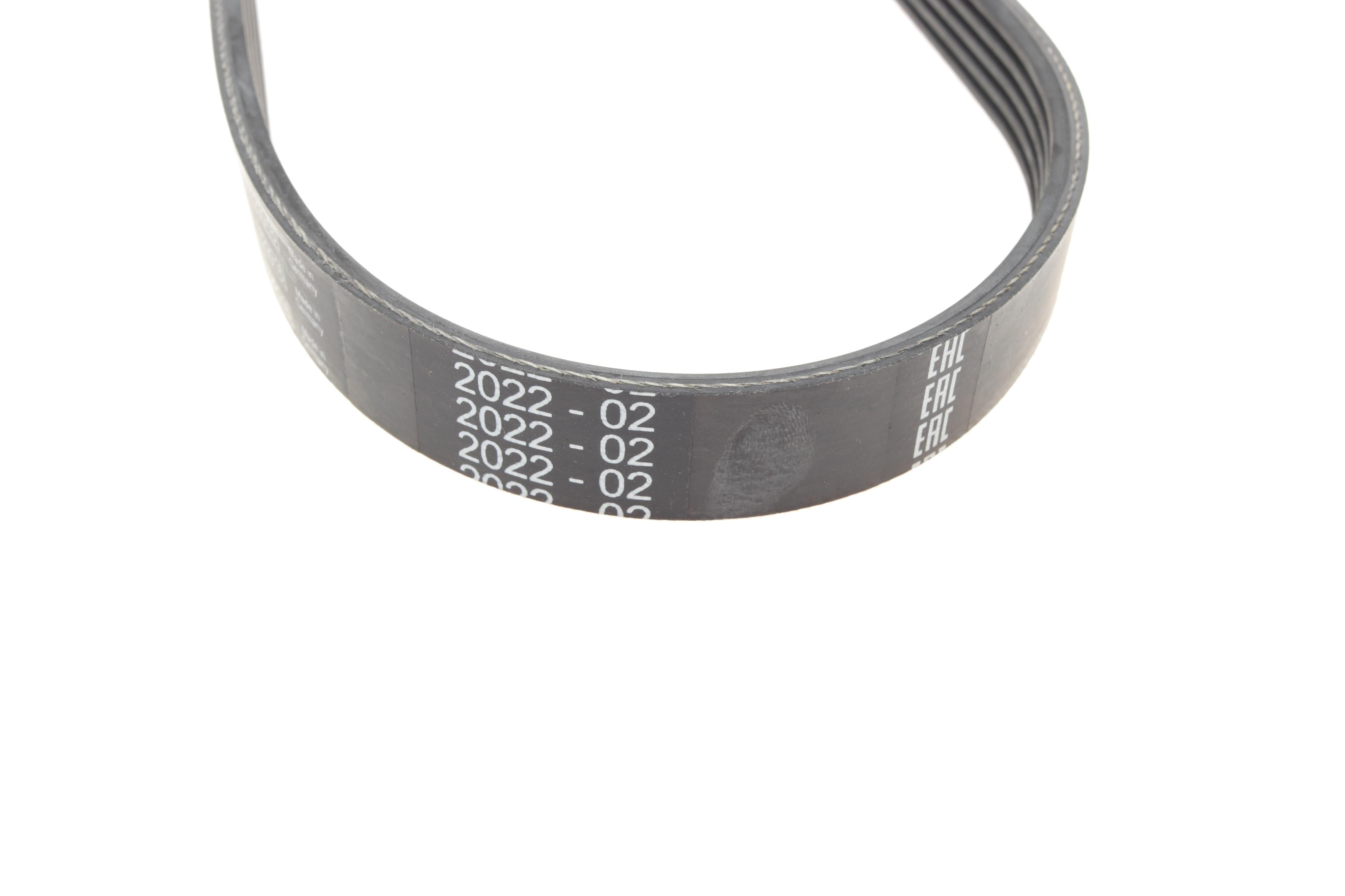 Ремінь генератора Ford Focus 1.4/1.6i 03- (6PK1059+5PK868) К-кт