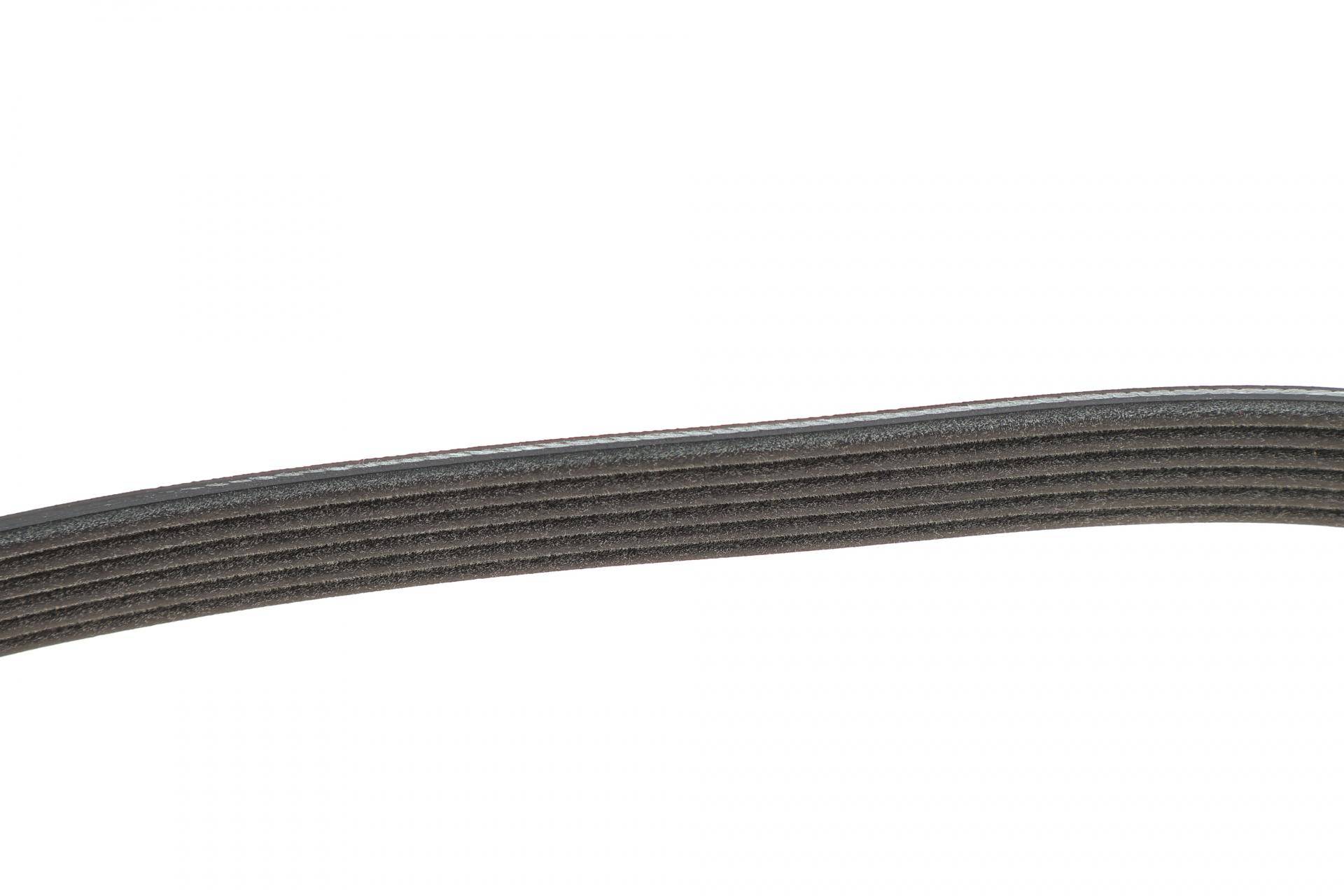 Ремінь генератора VW T5 1.9TDI/2.0TDI 03- (PS) HD