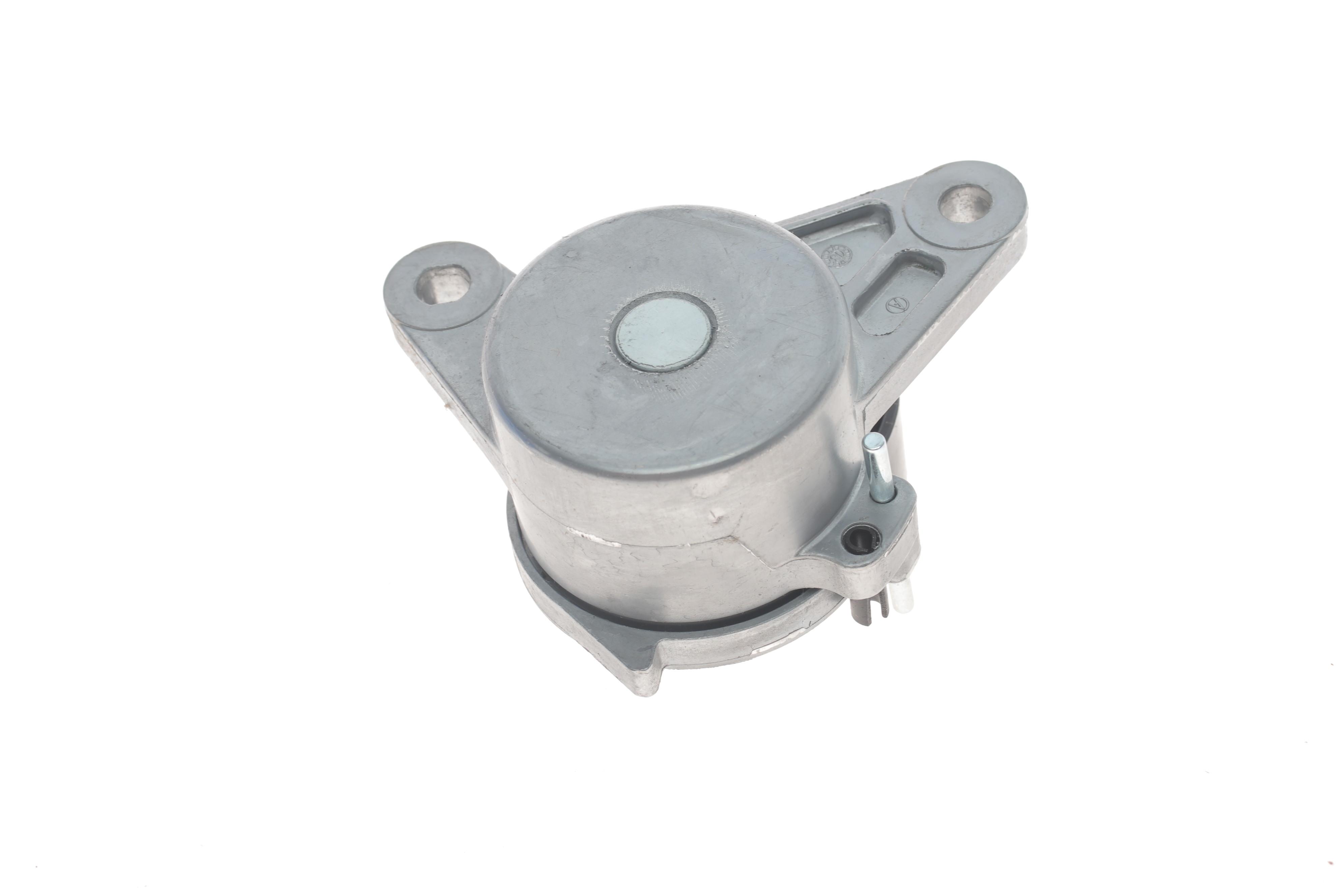 Натяжник ременя генератора Audi A4/A6/VW Caddy IV 2.0 TDI 15-