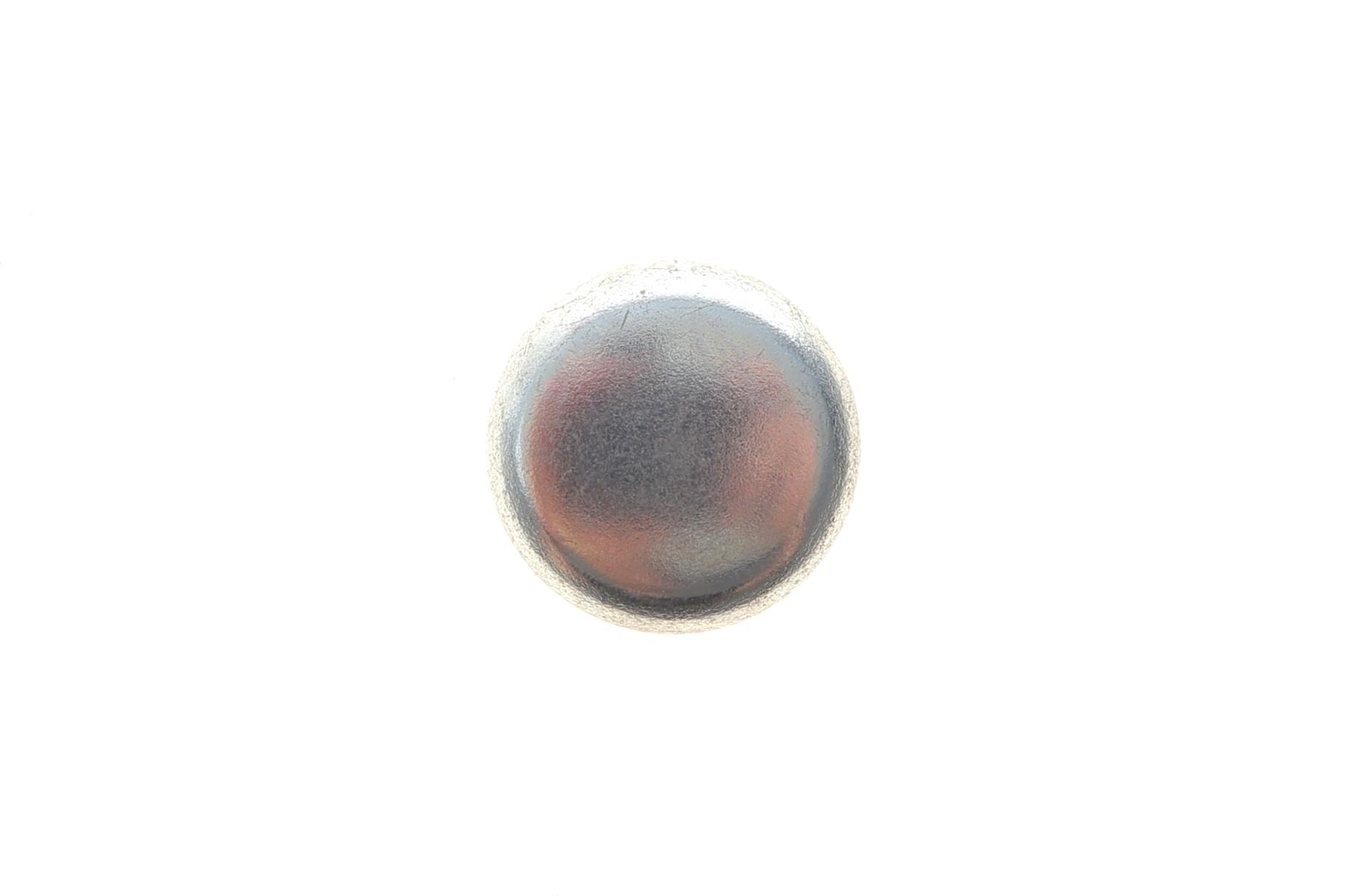 Заглушка блоку циліндрів VW Caddy/T4/T5/LT/Crafter (d=24)