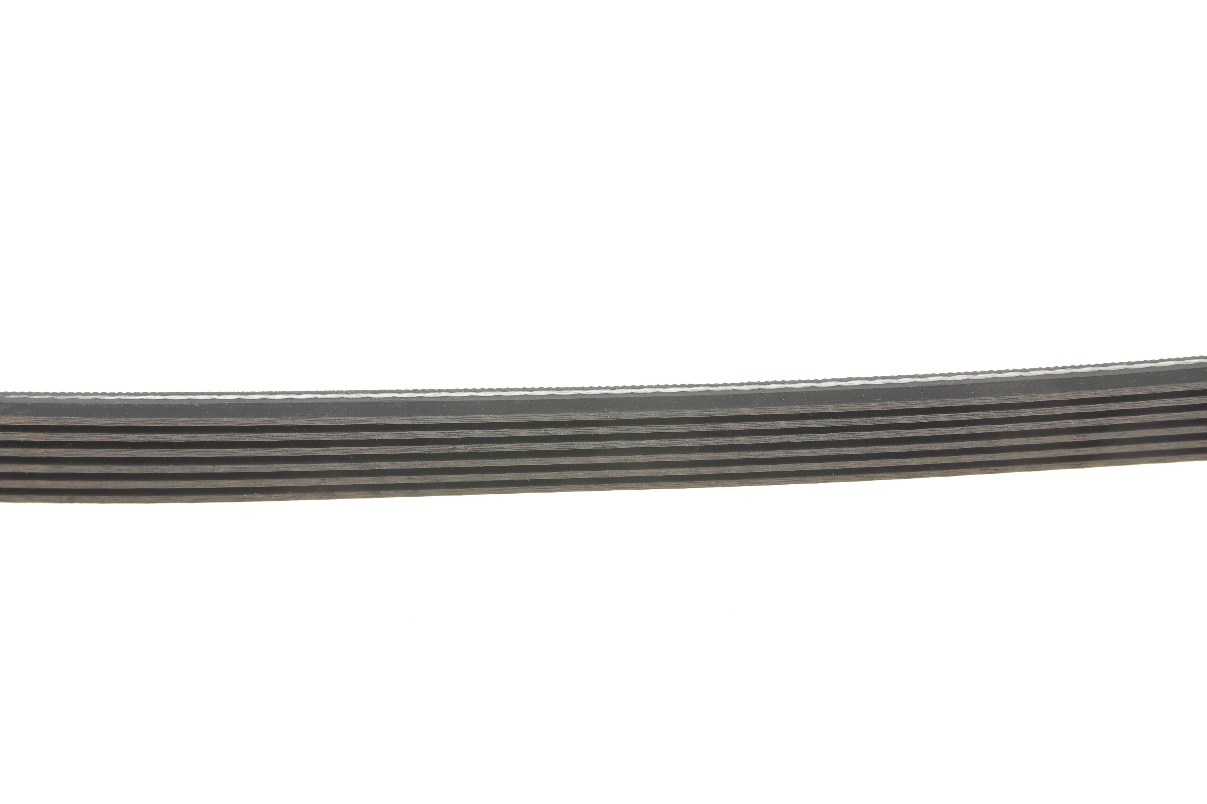 Ремінь генератора Renault Kangoo 1.5 dCi