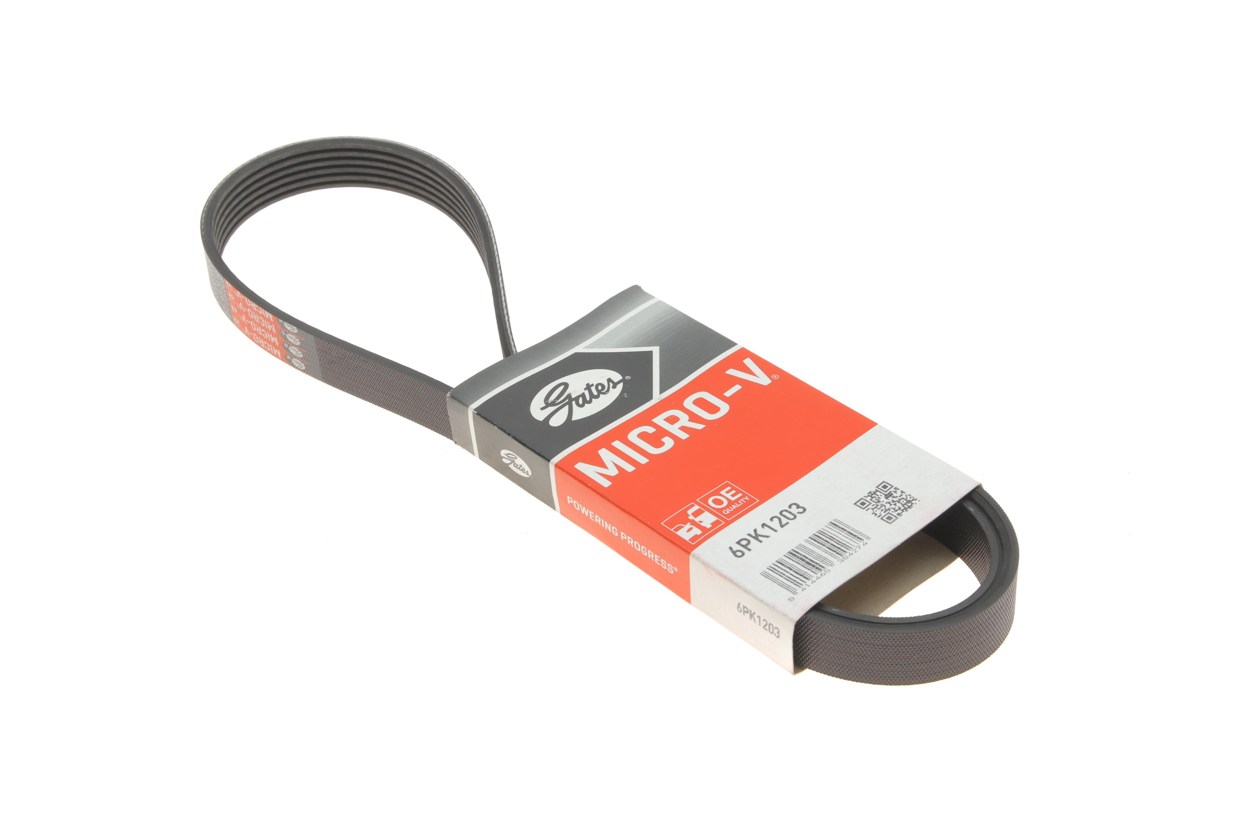 Ремінь генератора Renault Kangoo 1.5 dCi