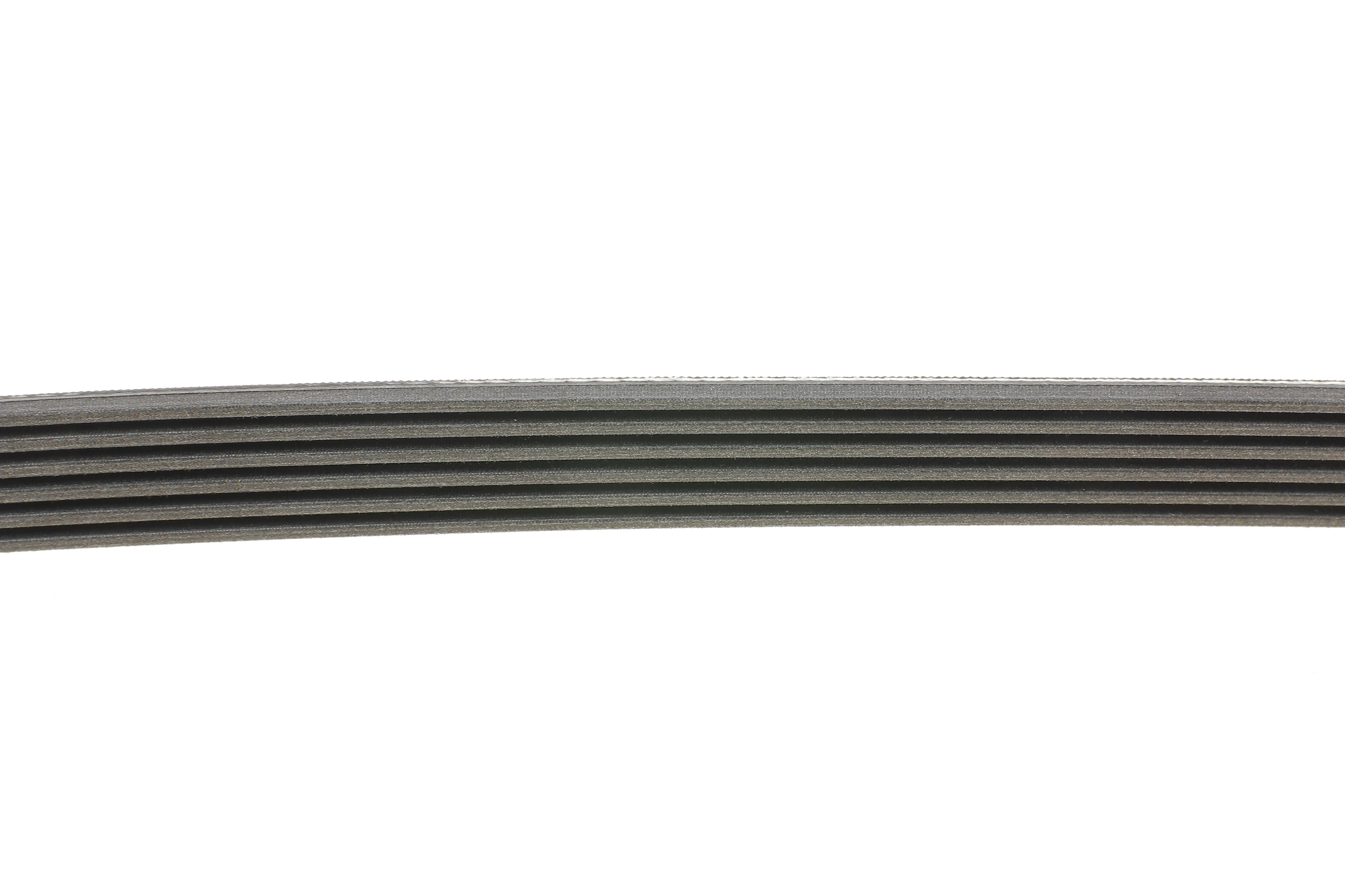 Ремінь генератора Citroen Berlingo 1.9D 98-