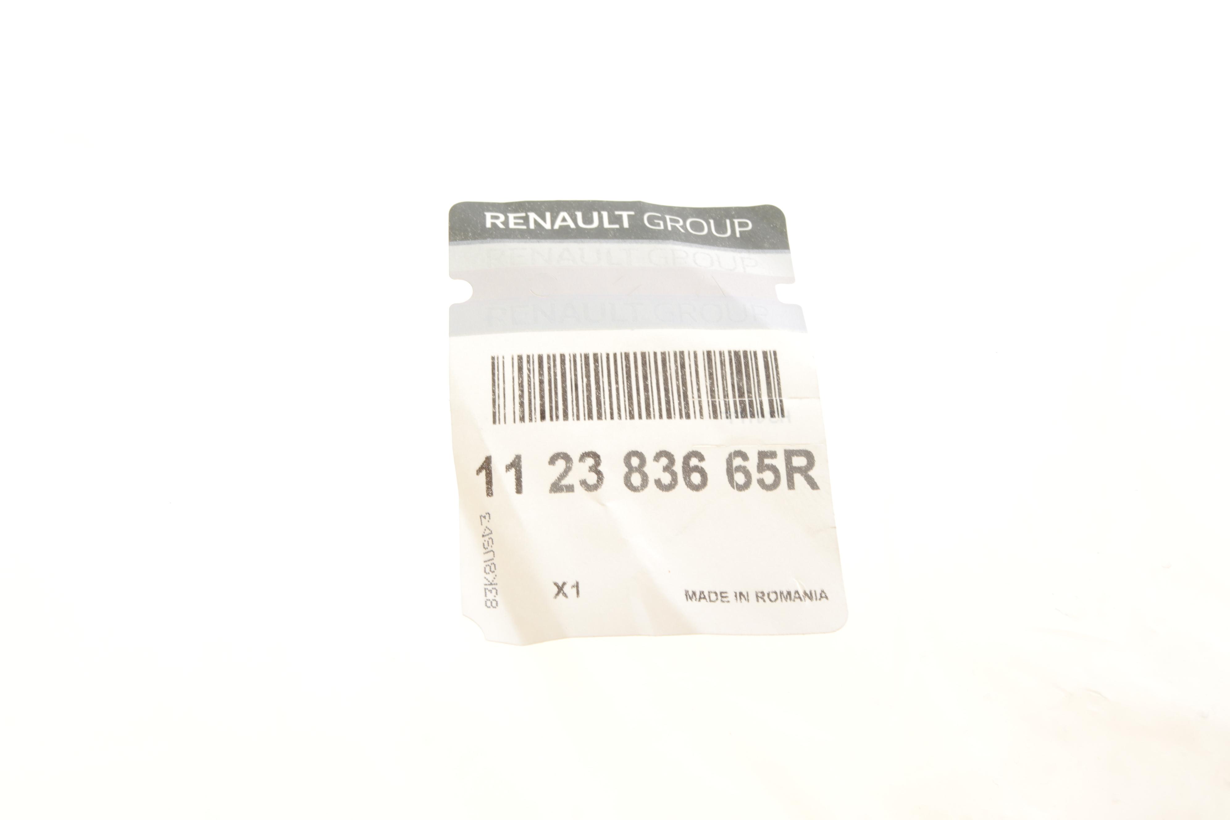 Подушка двигуна (задня) Renault Megane II/Kangoo 1.4-1.6/1.5 dCi 02- (косточка)