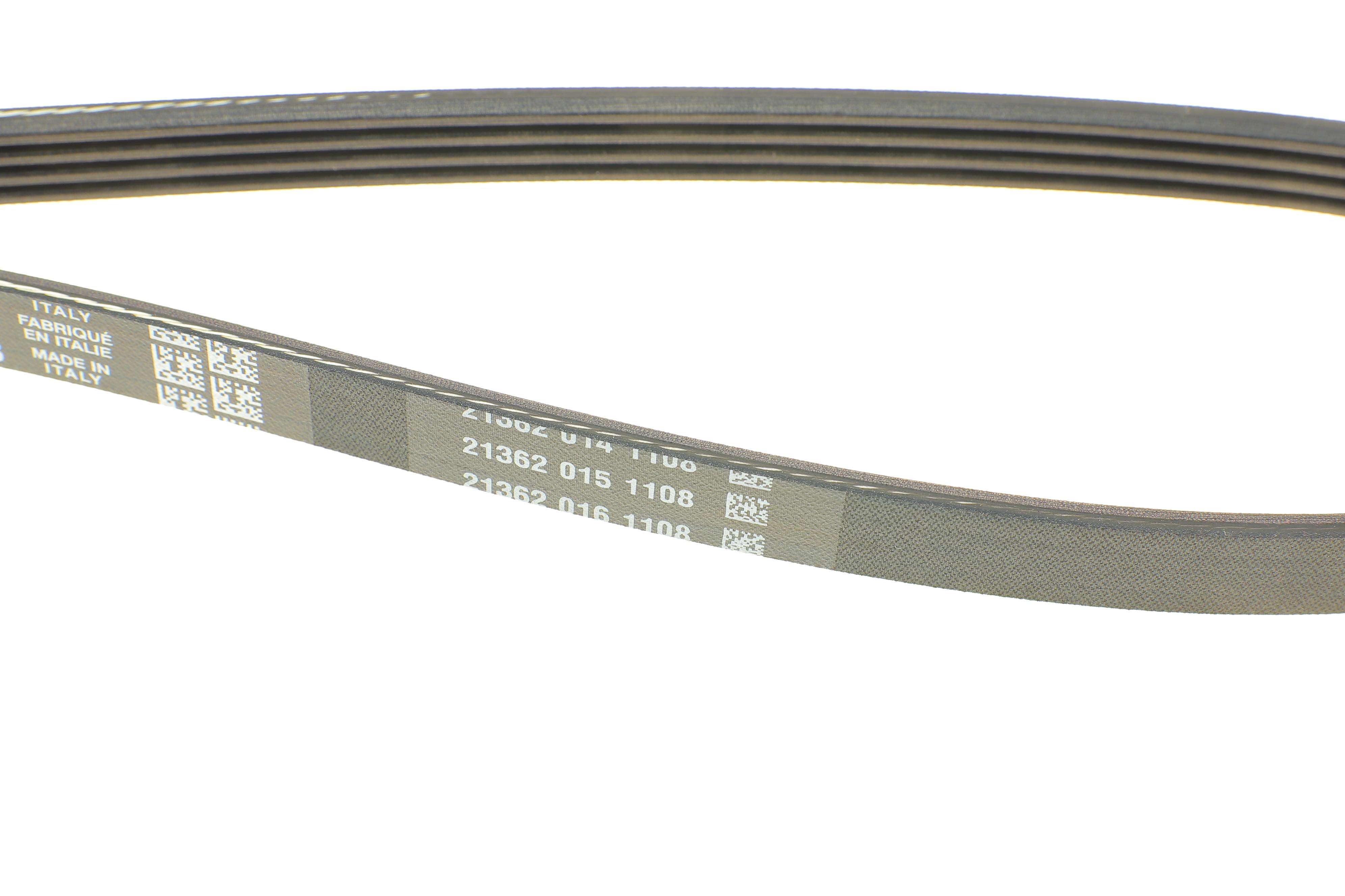 Ремінь генератора Renault Clio/Kangoo 1.4i/1.6 98-03