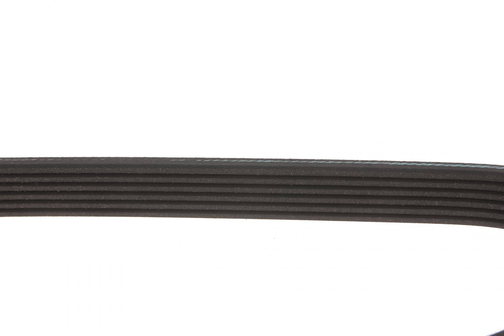 Ремінь генератора Fiat Scudo/Citroen Berlingo 1.9D/TD 96- (6PK1110)