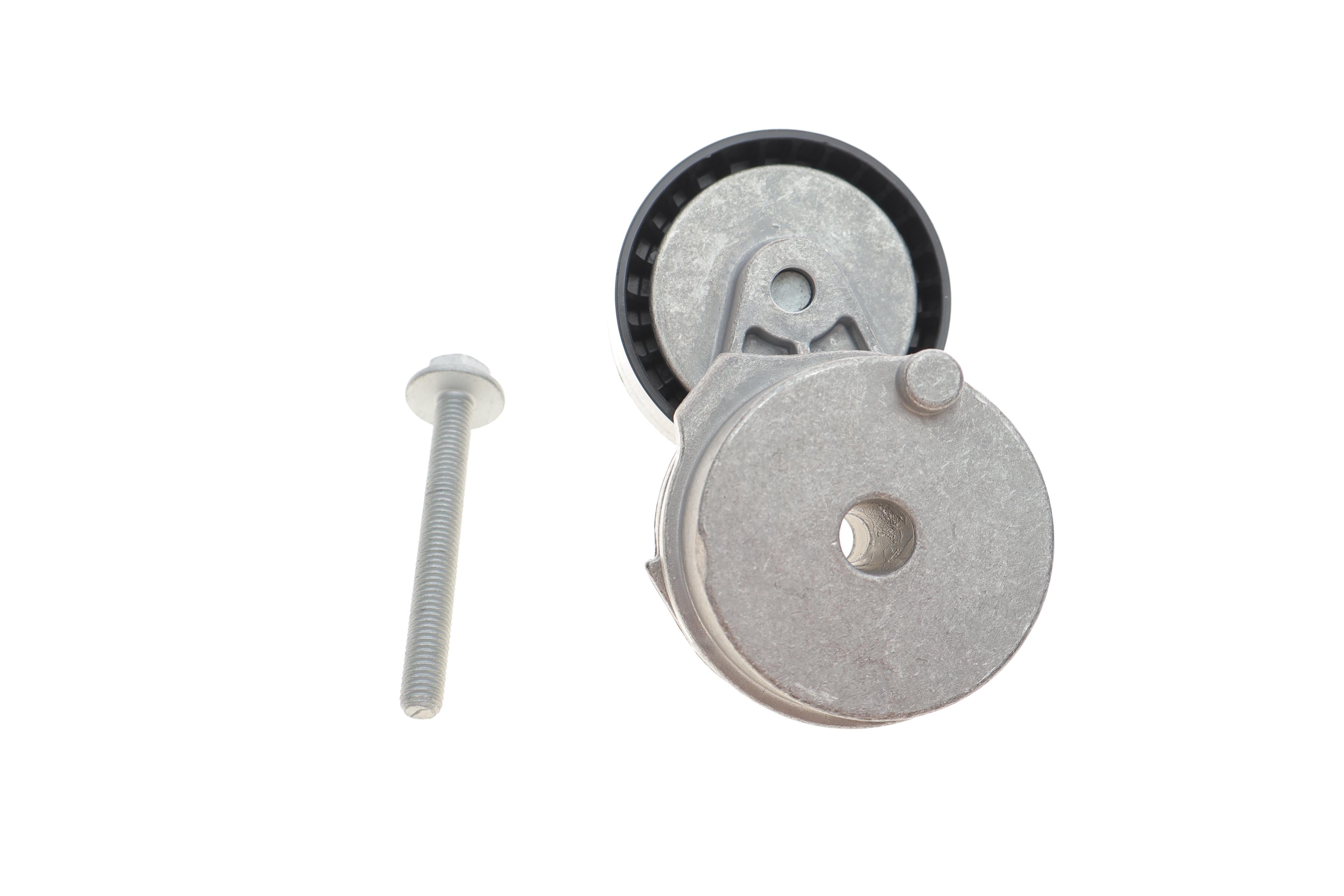 Натяжник ременя генератора Fiat Doblo 1.9JTD/D/Multijet 01- (65x26)