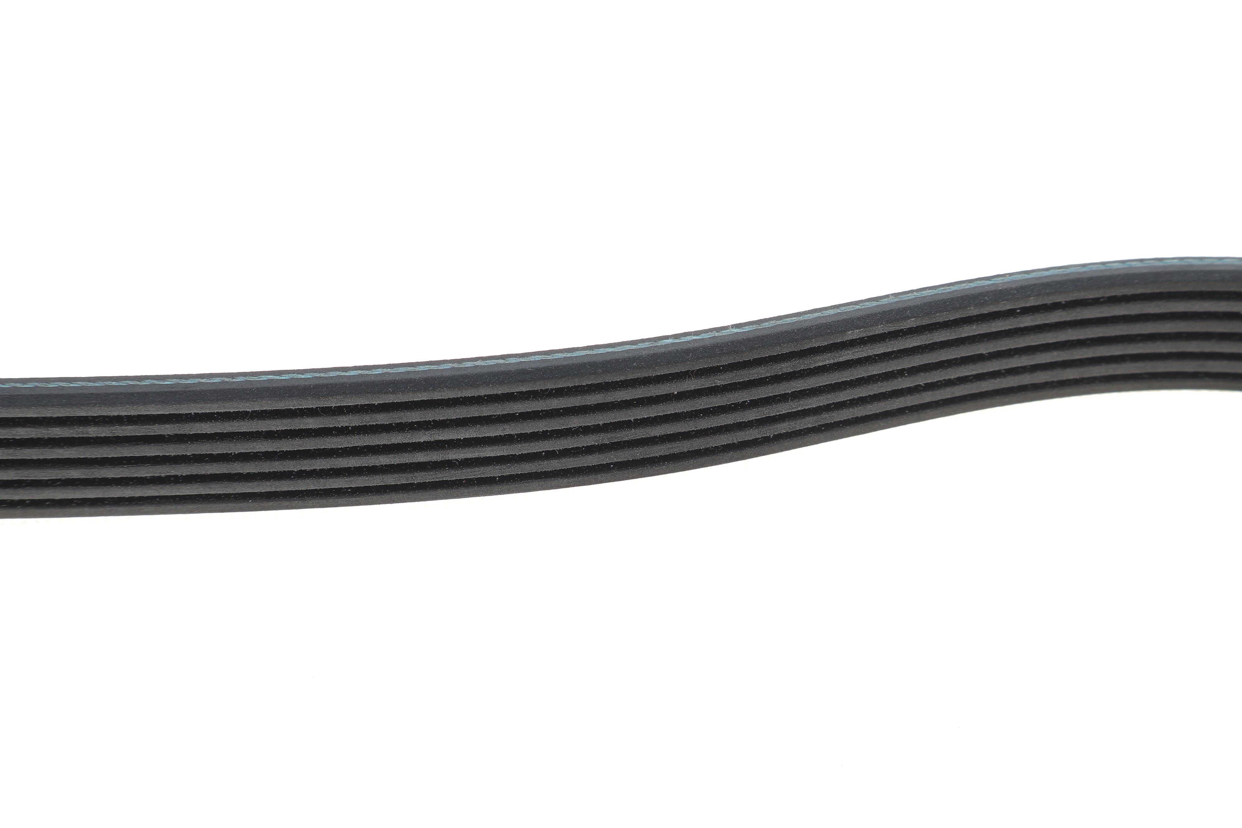 Ремінь генератора Fiat Doblo 1.3D Multijet/1.3JTD/Ford Focus 1.8/2.0 04-