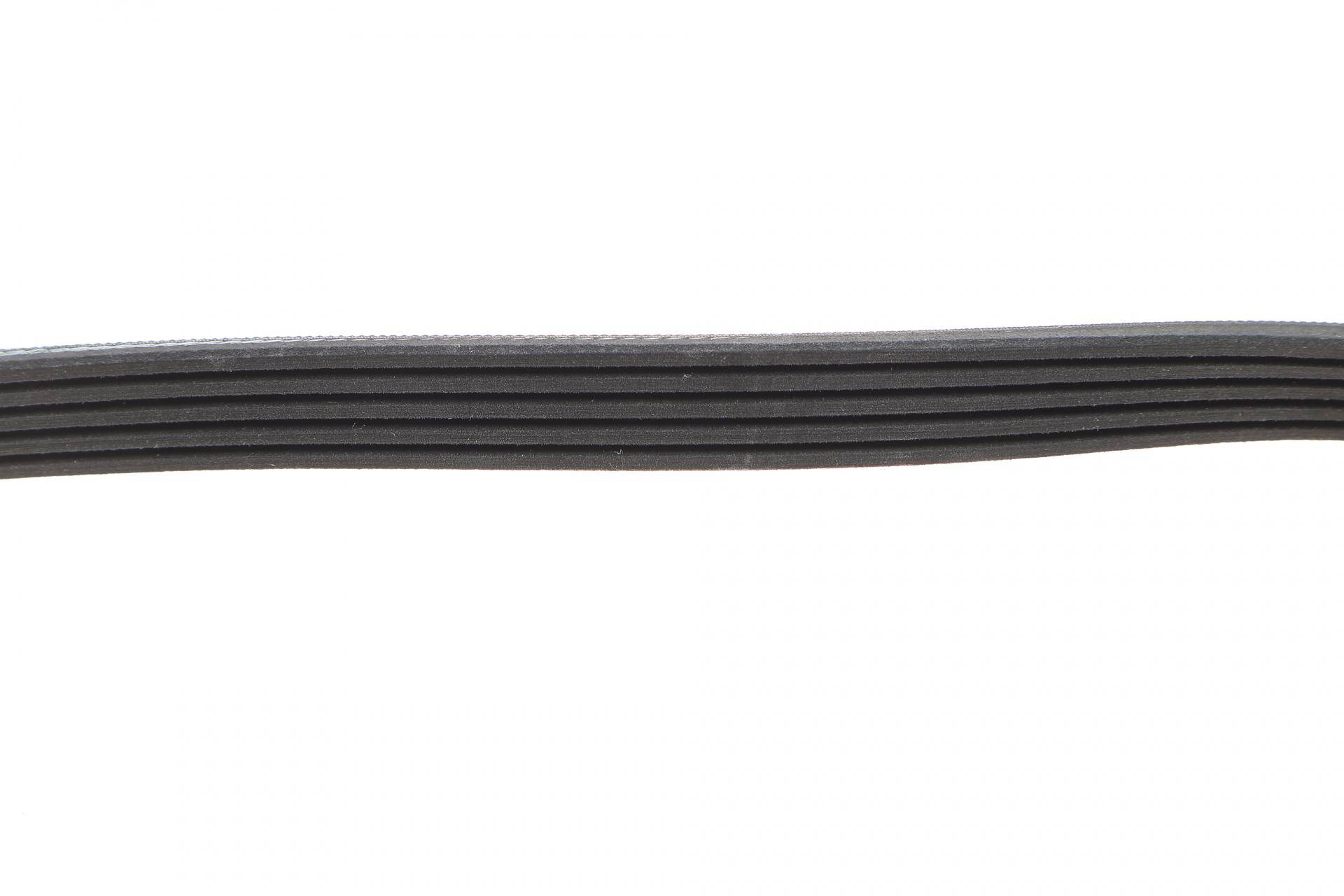 Ремінь генератора Ford Focus 1.6i