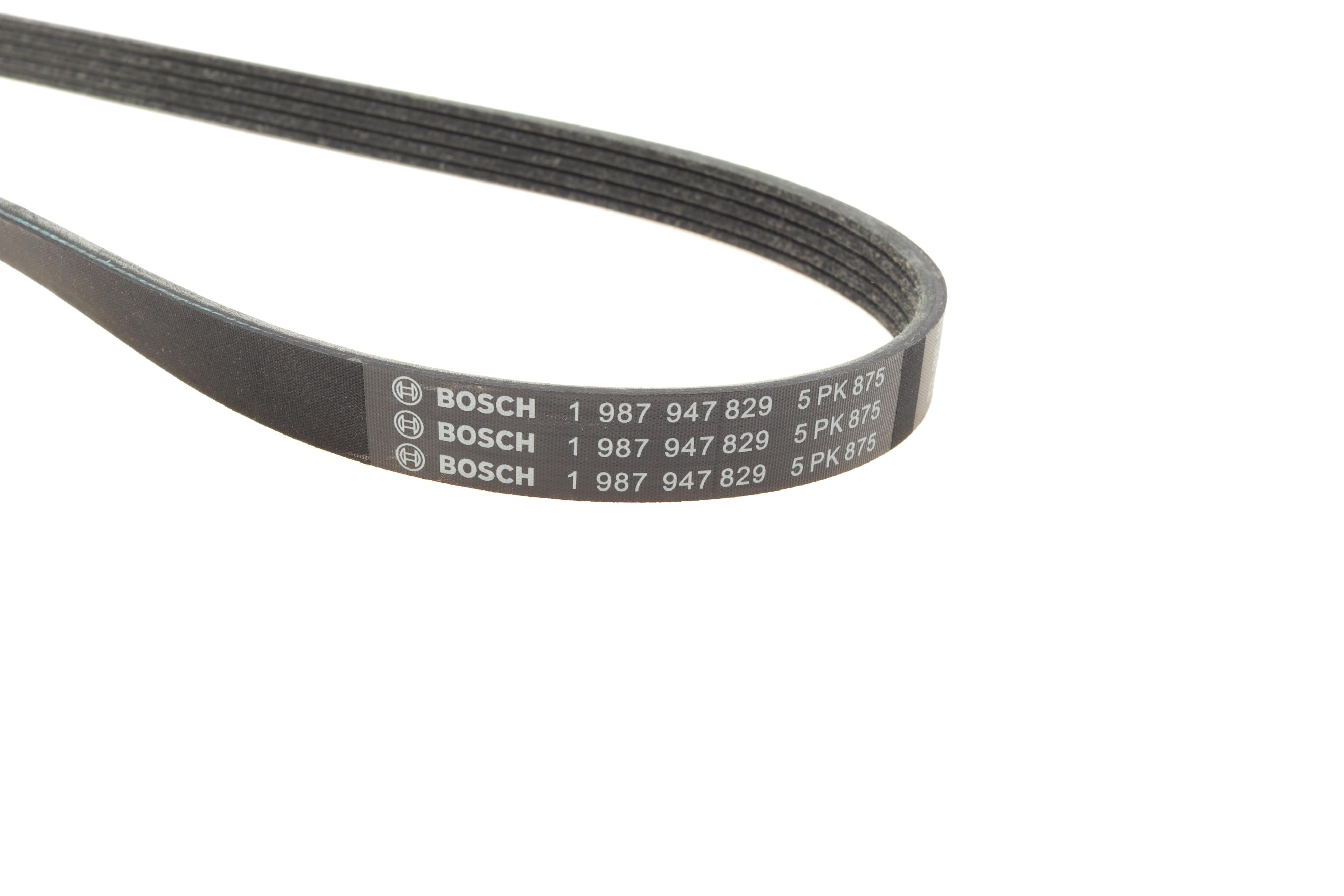 Ремінь генератора Renault Kangoo 1.2i 97-/Subaru Impreza 2.0 05-07/Nissan Pathfinder 4.0 05- (5PK875