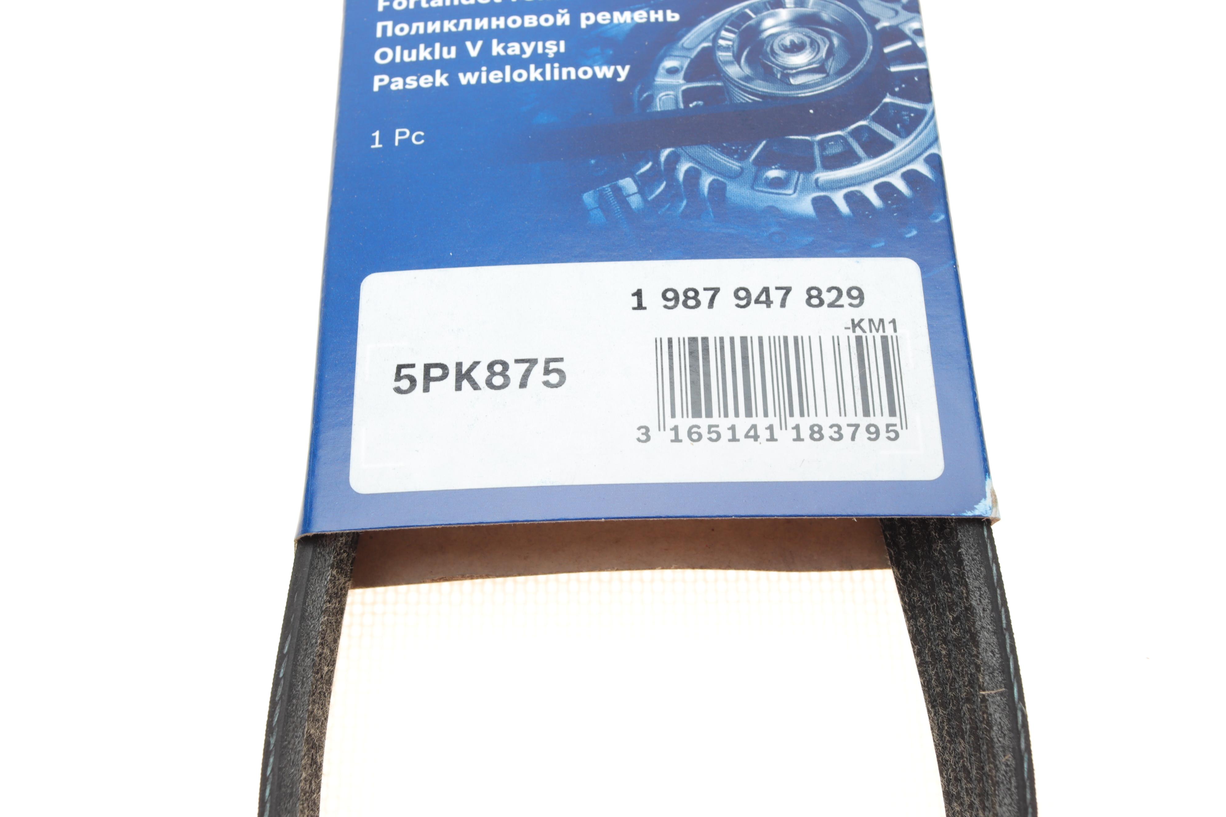Ремінь генератора Renault Kangoo 1.2i 97-/Subaru Impreza 2.0 05-07/Nissan Pathfinder 4.0 05- (5PK875