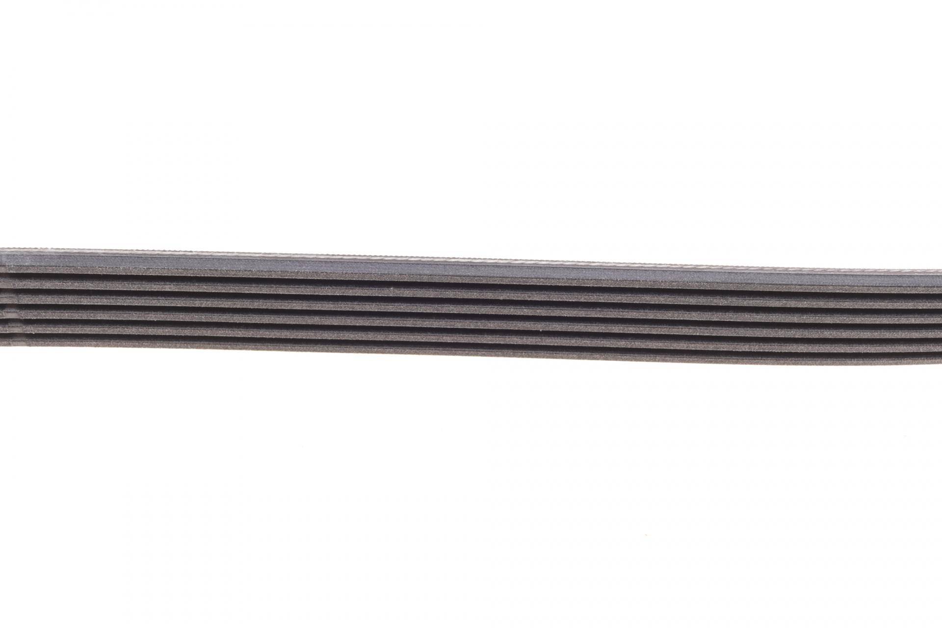 Ремінь генератора Citroen Jumper 2.0-2.2HDi 02-06/C4/C5/C8 2.0 16V 01-/VW T5/T6 2.0TSI 12-19