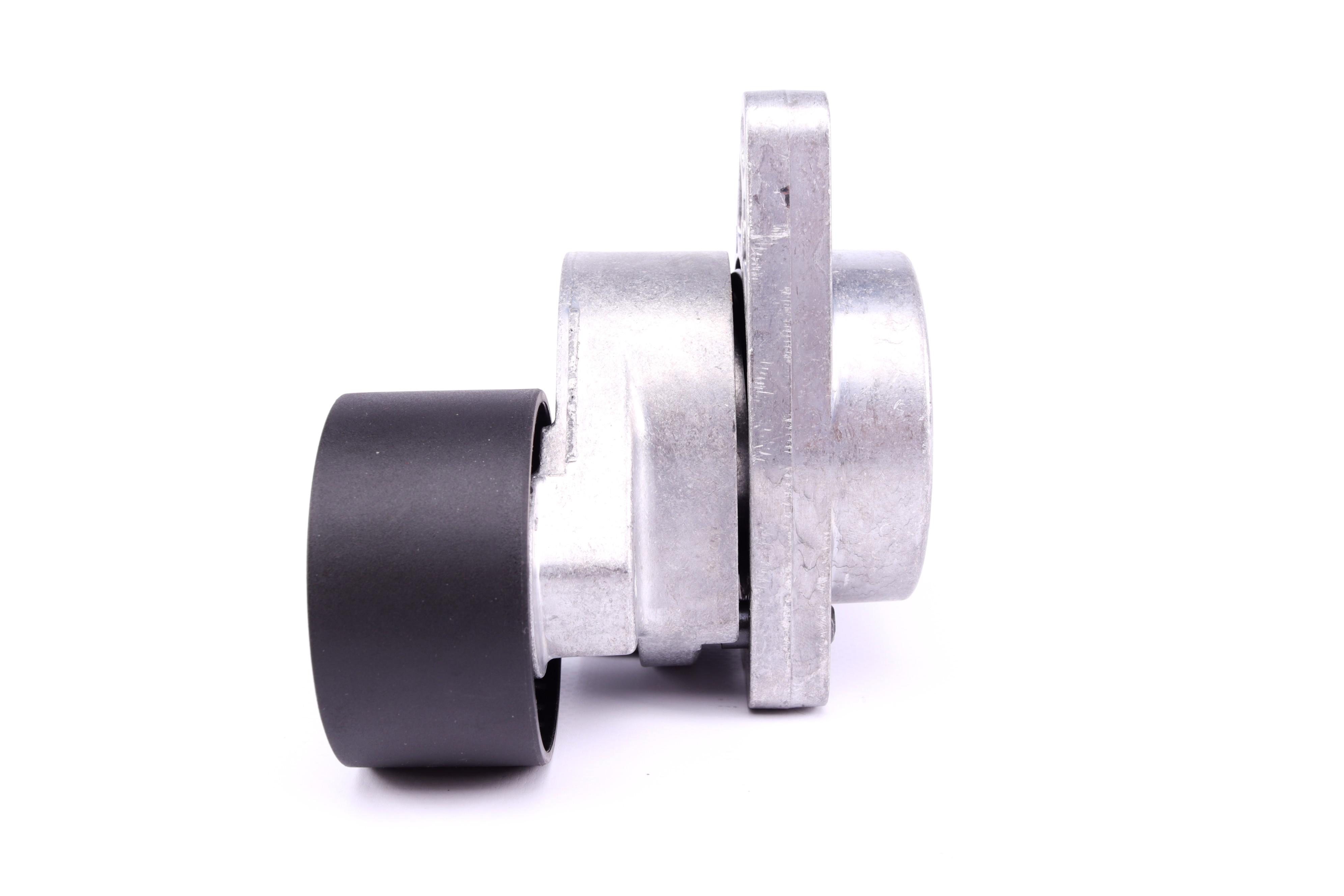 Натяжник ременя генератора Renault Master/Trafic 2.2-2.5dCi 02-