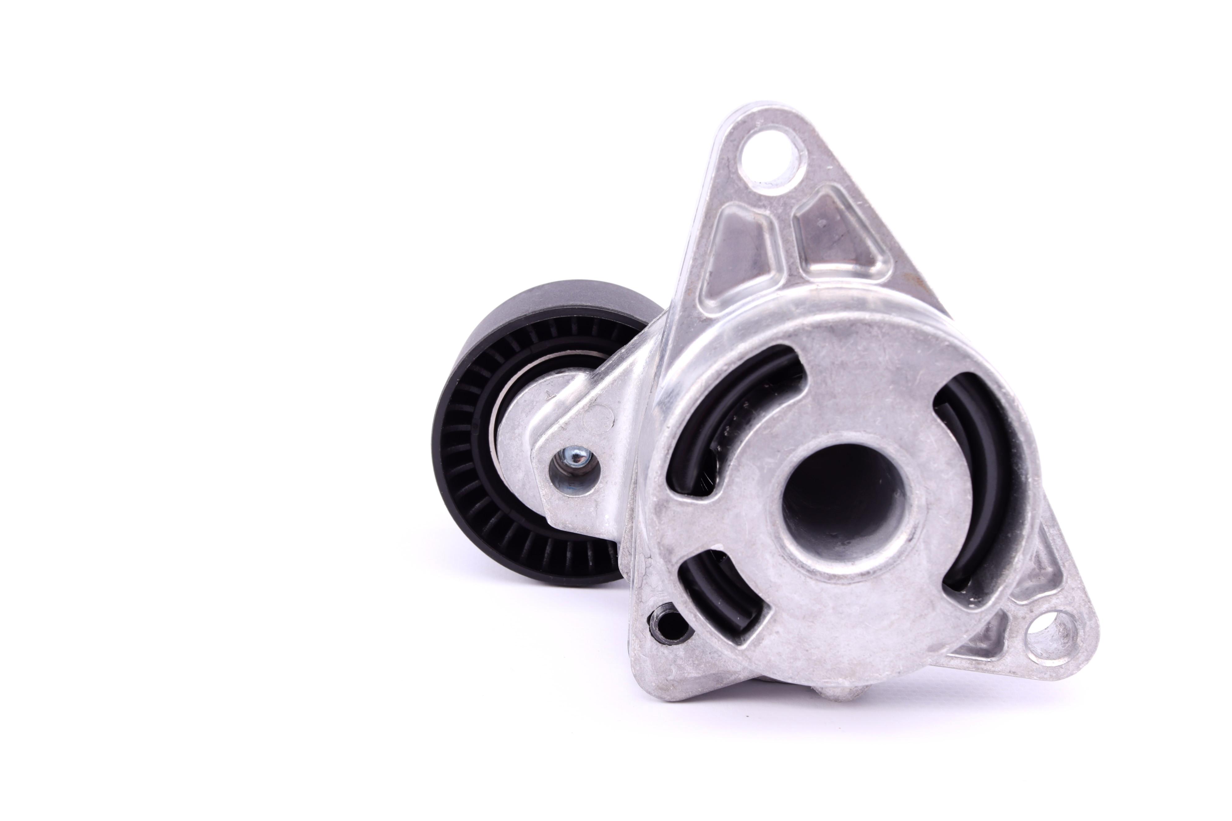 Натяжник ременя генератора Renault Master/Trafic 2.2-2.5dCi 02-