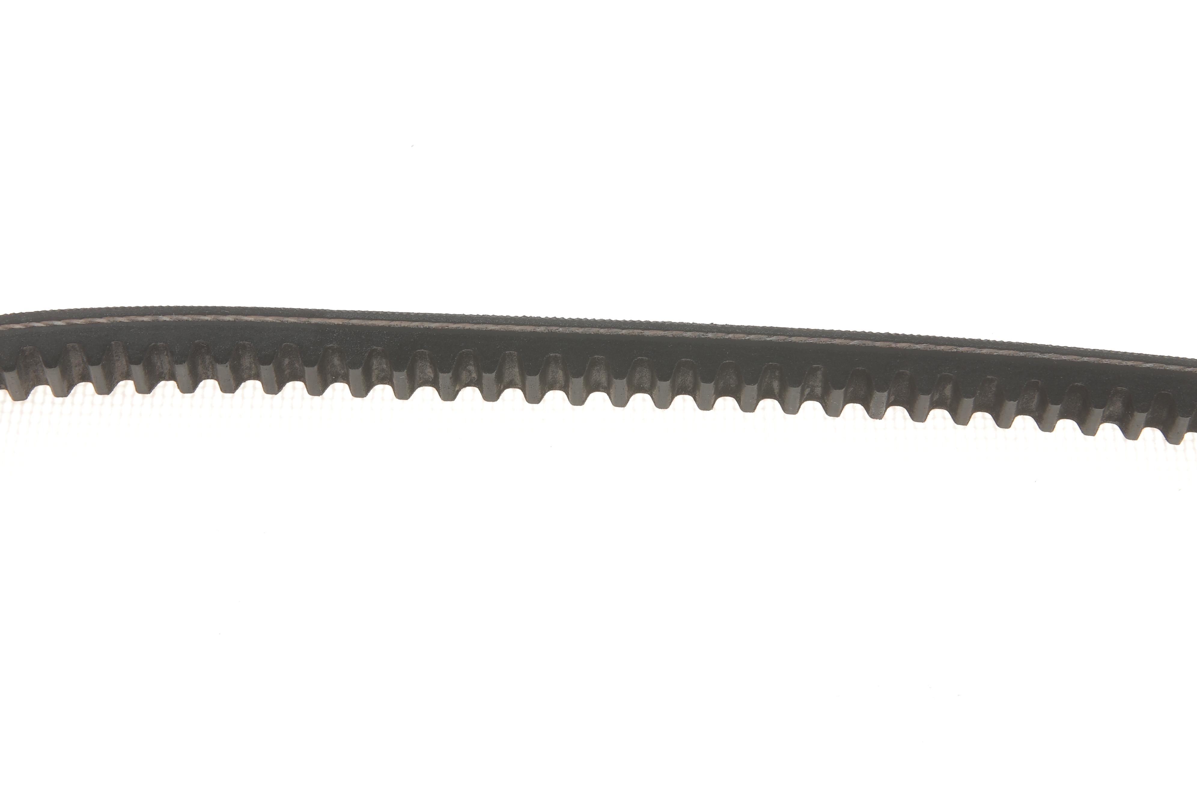 Ремінь генератора VW Caddy 83-92 (11.5x730)