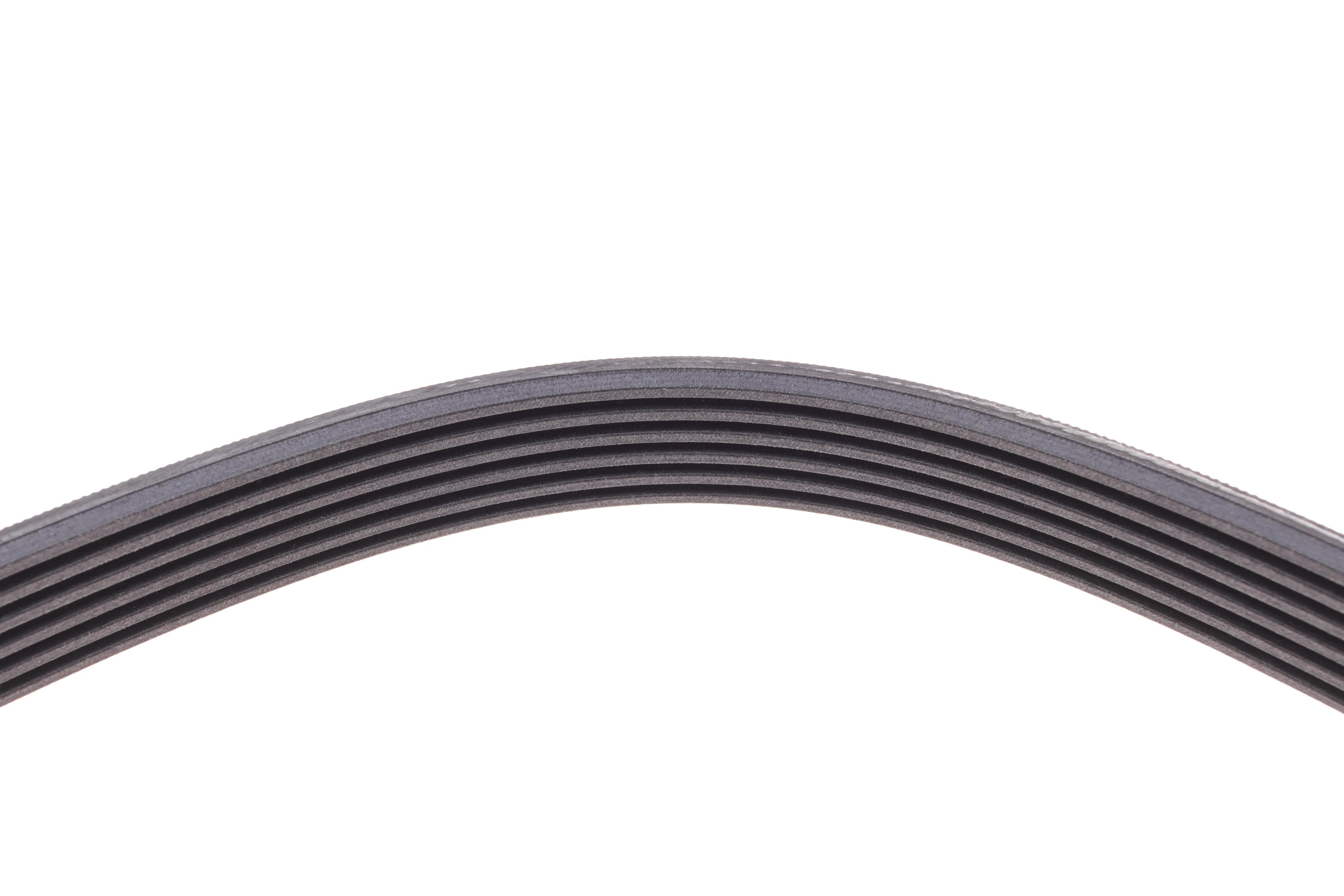 Ремінь генератора Ford Focus 1.8 TDCi 05-12/Skoda Octavia/VW Lupo/Seat Arosa 1.4 i 99-01