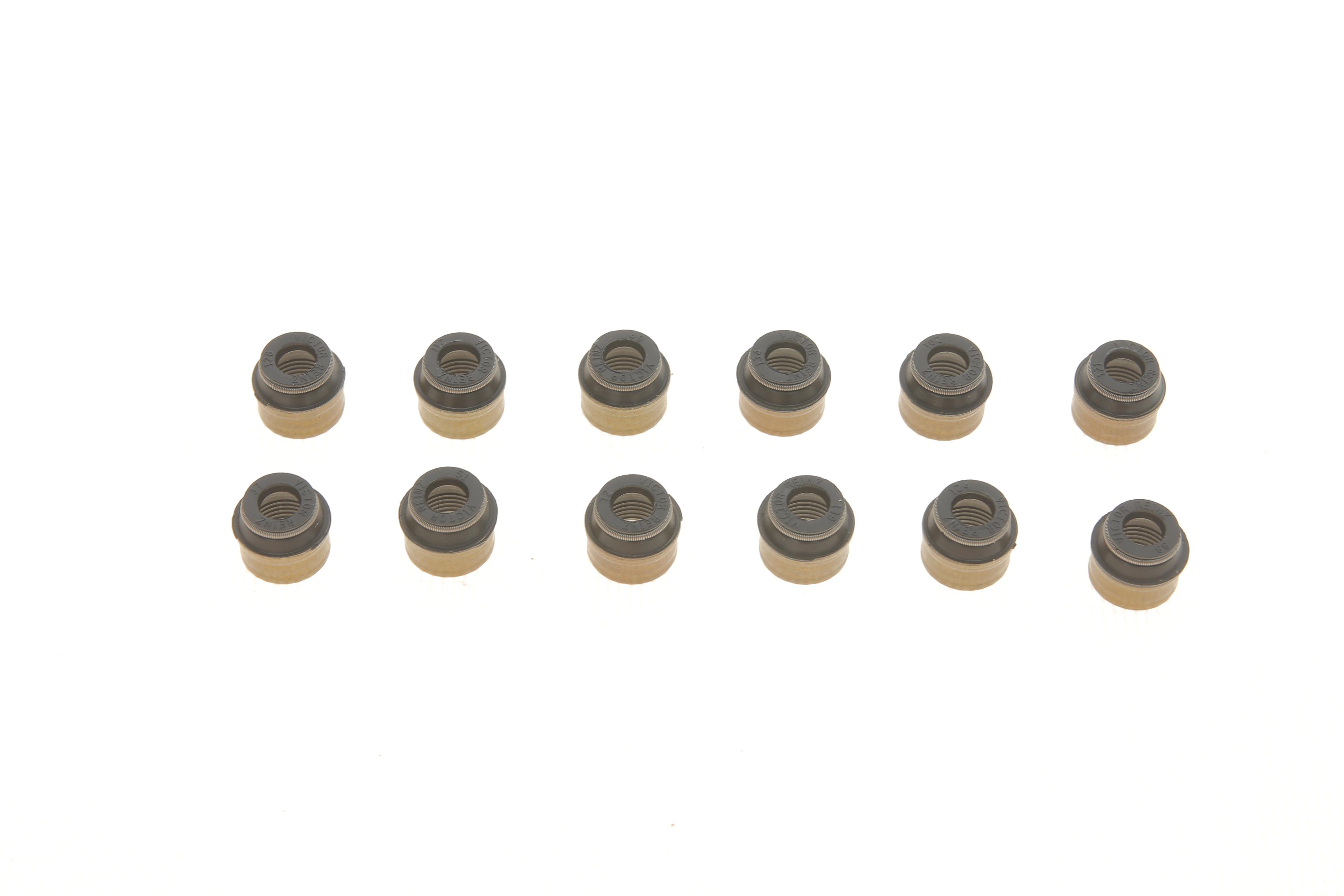 Сальник клапана (впуск/випуск) Audi A4/A5/A6 2.5-3.0dci 01- (к-кт 12шт)