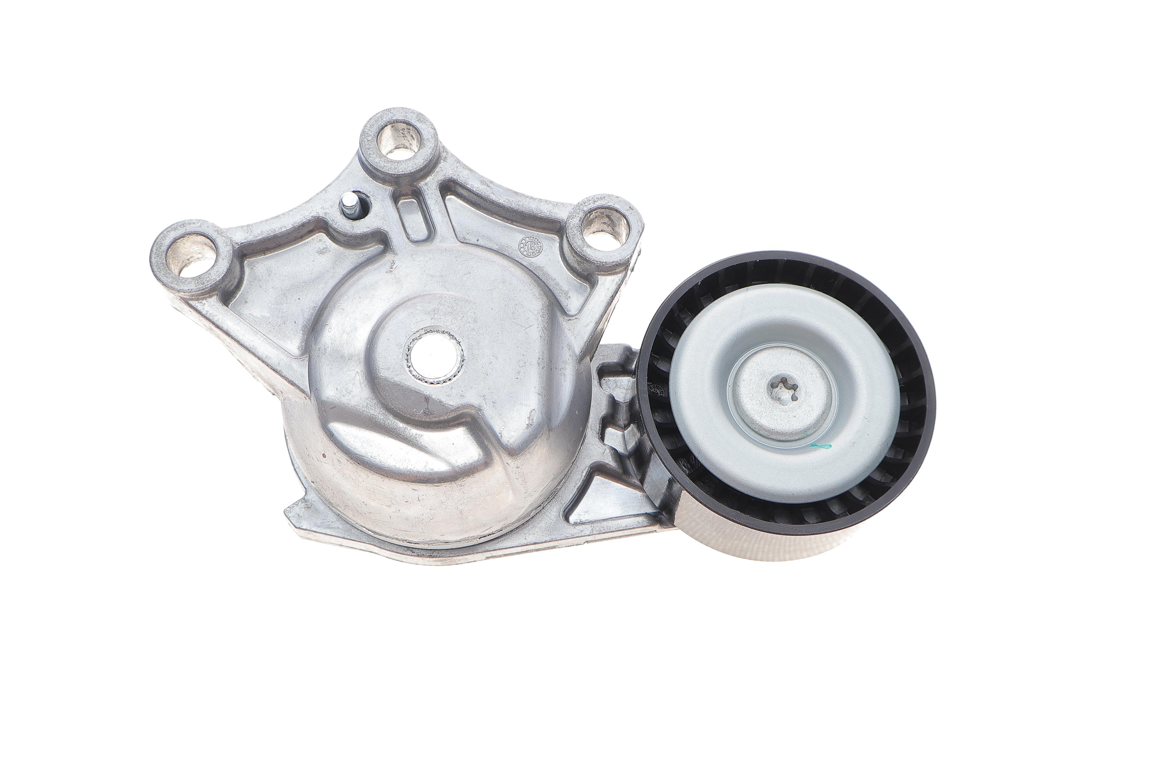 Натяжник ременя генератора Peugeot Partner/Citroen Berlingo 1.6HDi 05- (65x25)