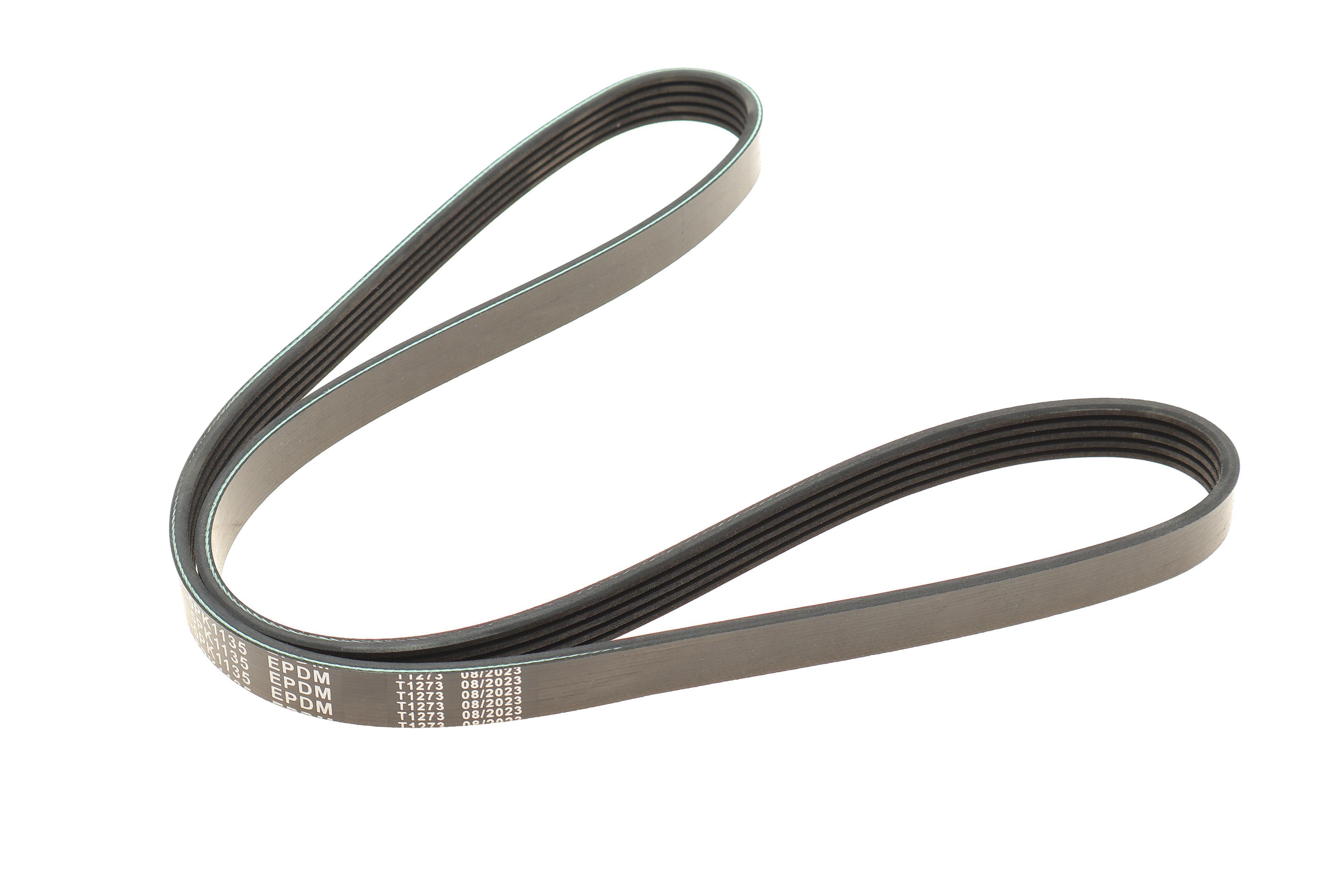 Ремінь генератора Renault Kangoo 1.5 dCi 97- (5PK1134)