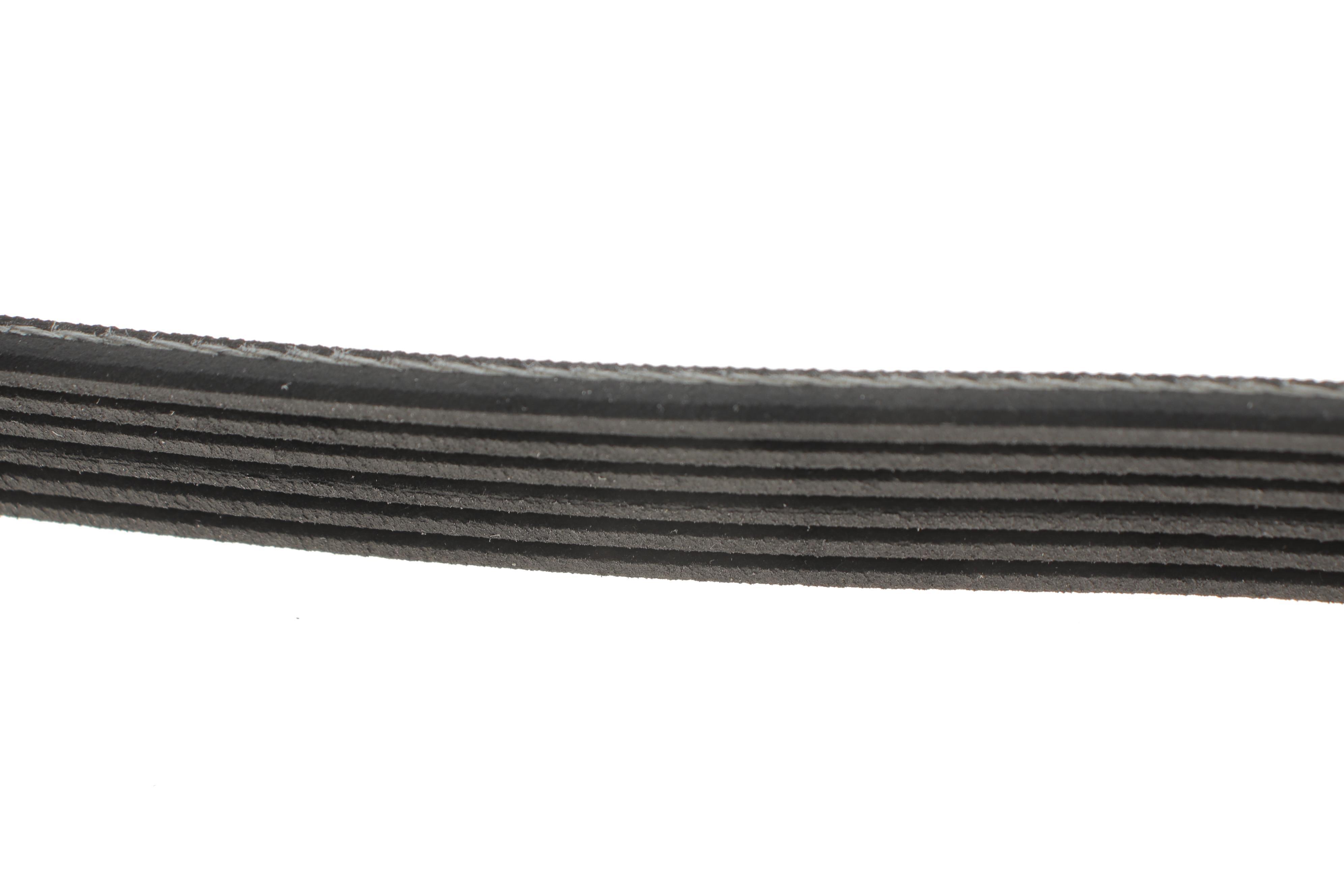 Ремінь генератора Audi/BMW/Chevrolet/MB/Opel (6PK1875)