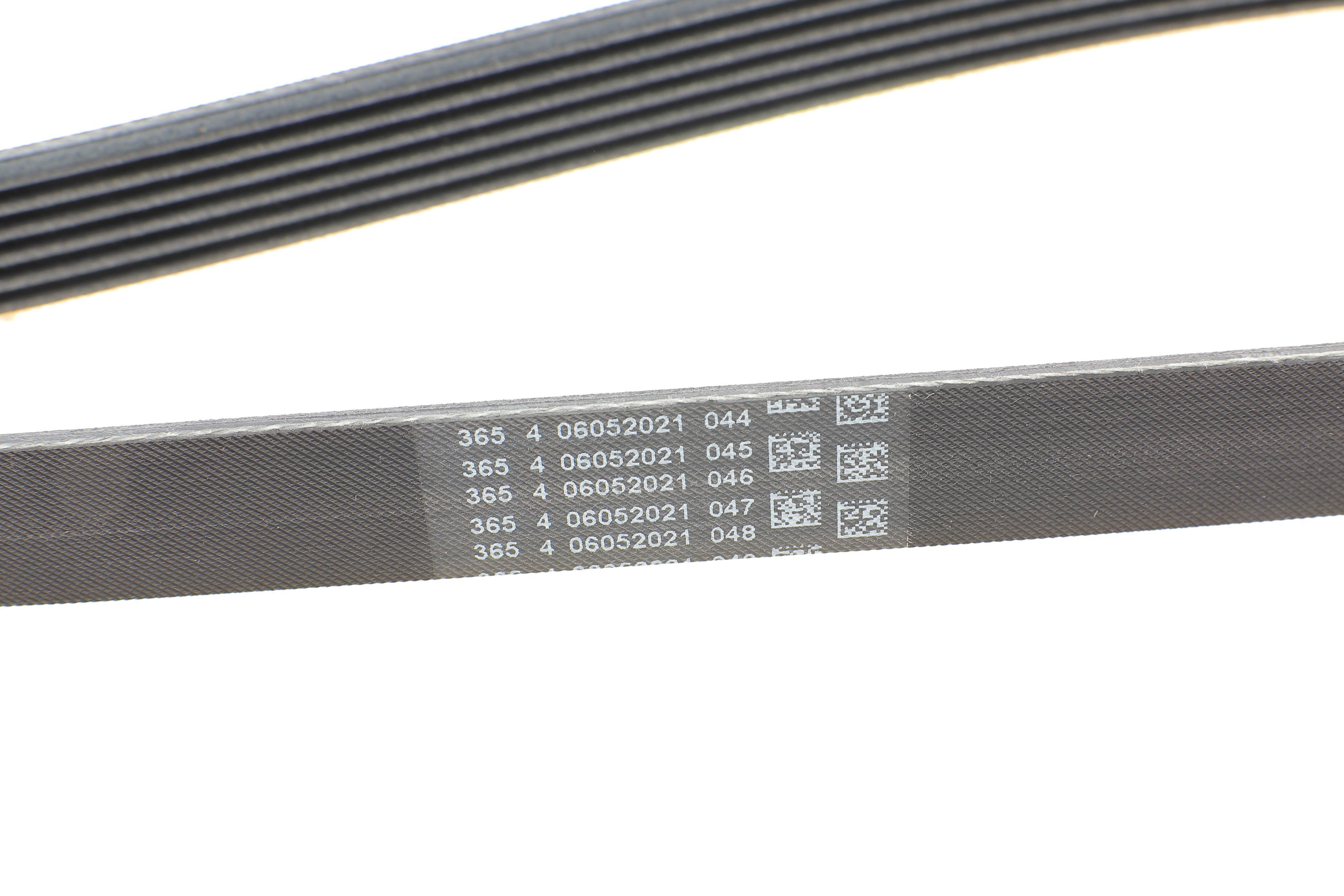 Ремінь генератора Citroen Berlingo 1.9D (1868)