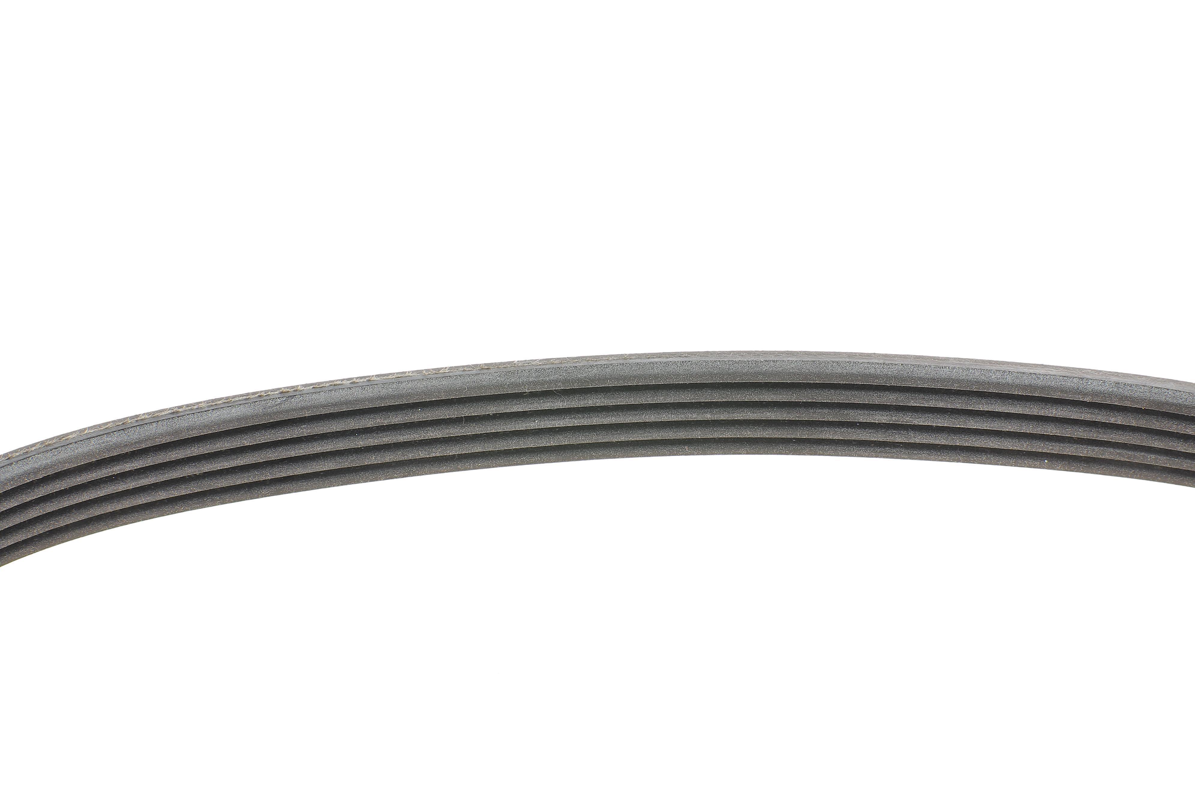 Ремінь генератора Ford Fiesta/Fusion