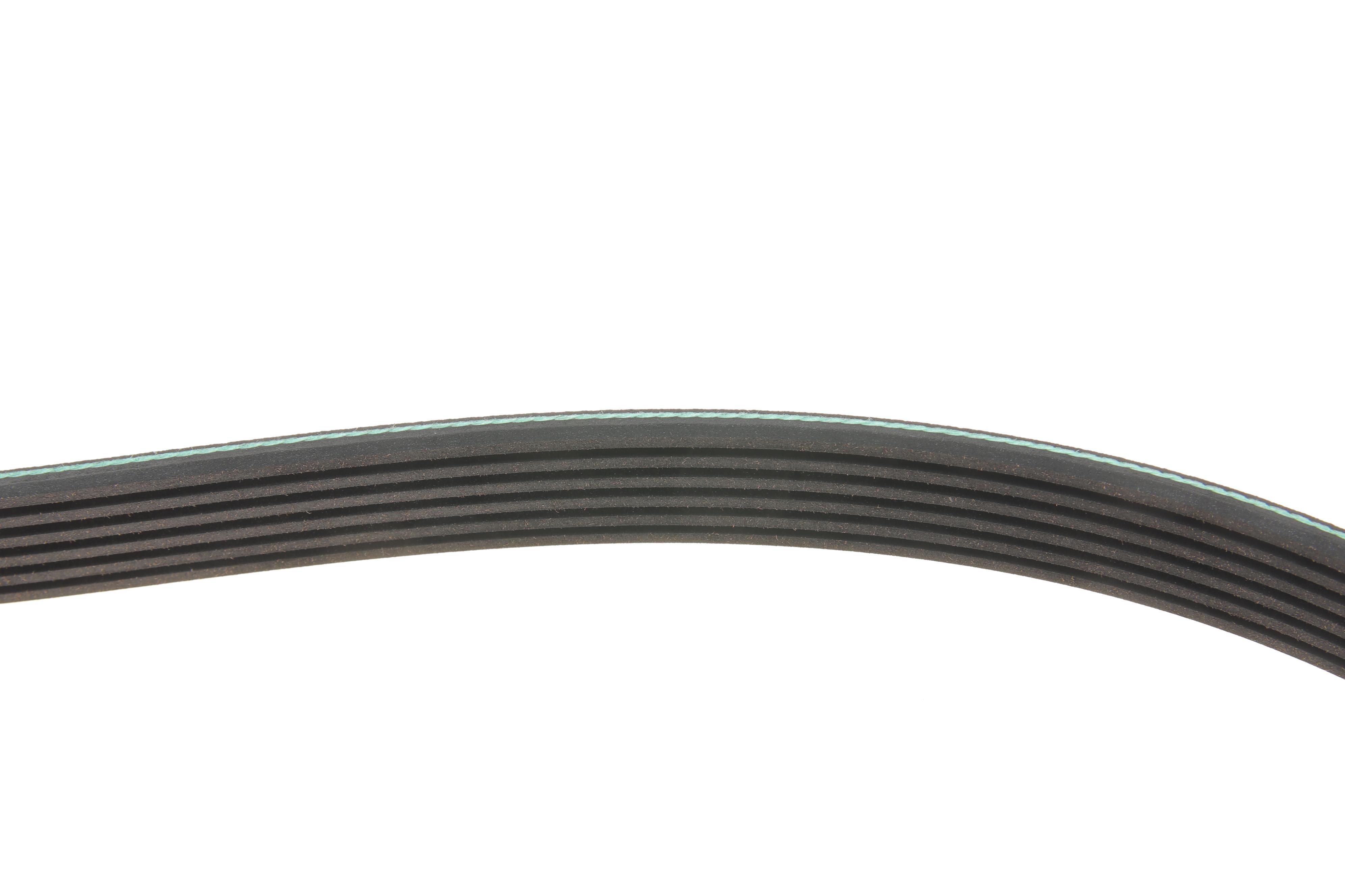 Ремінь генератора Renault Kangoo 1.5 dCi 03- (6PK1130)