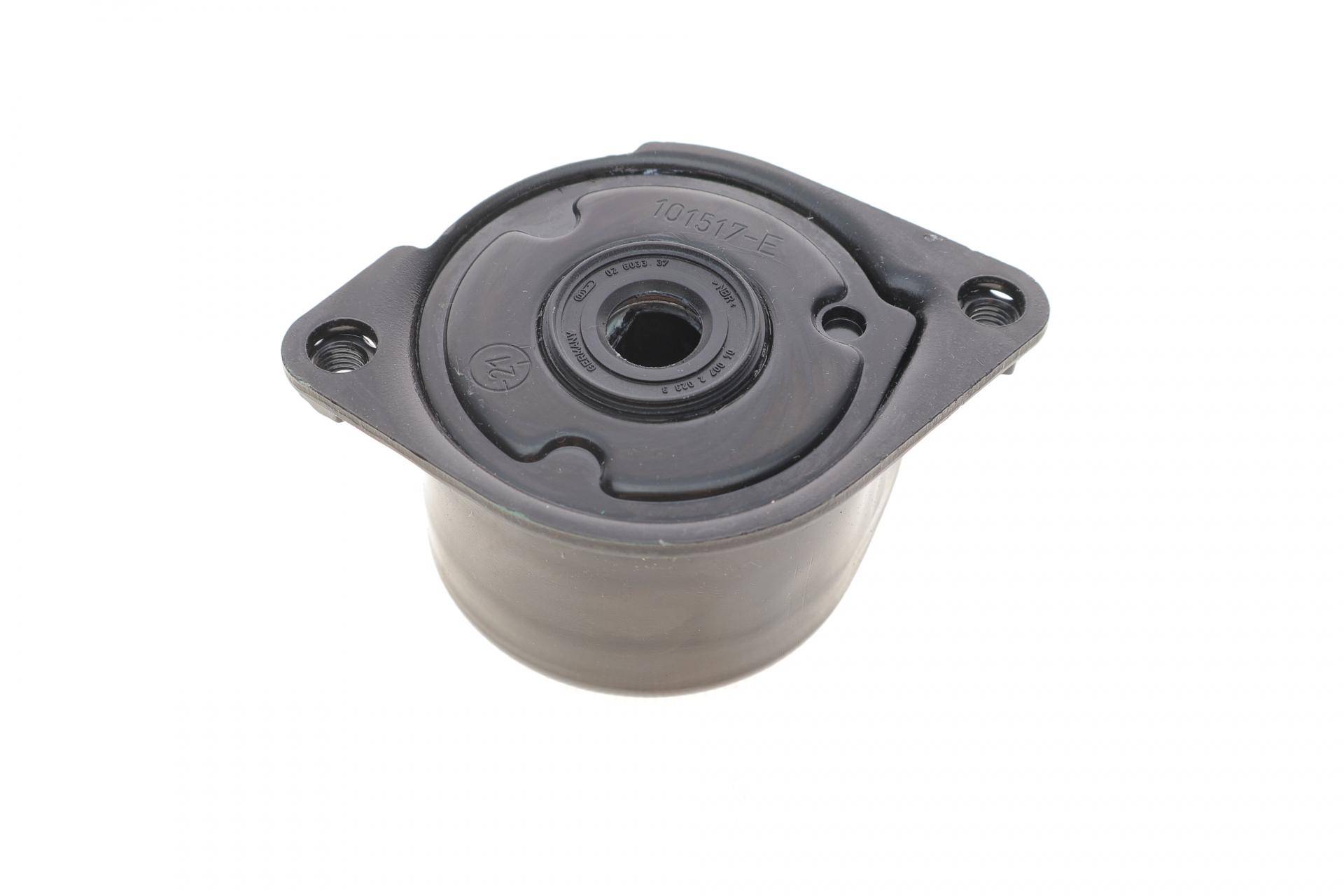 Натяжник ременя генератора BMW 3 (E46/E90-E92)/7 (E65-E67)/X3 (E83)/X5 (E53) 01-, M47 D20 (204D4)