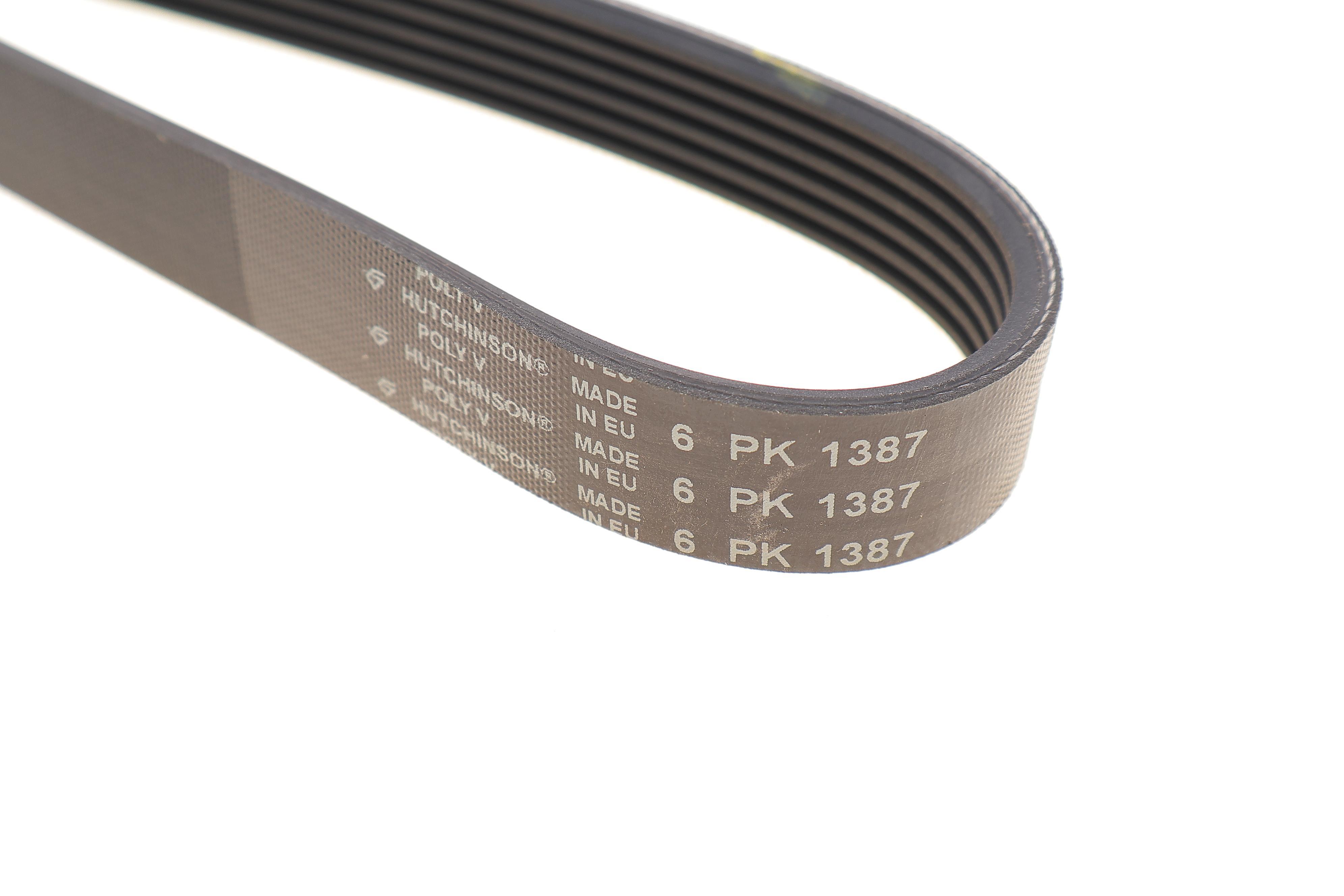 Ремінь генератора Citroen Berlingo/Fiat Scudo/Peugeot Partner 1.9D 98- (6PK1387)