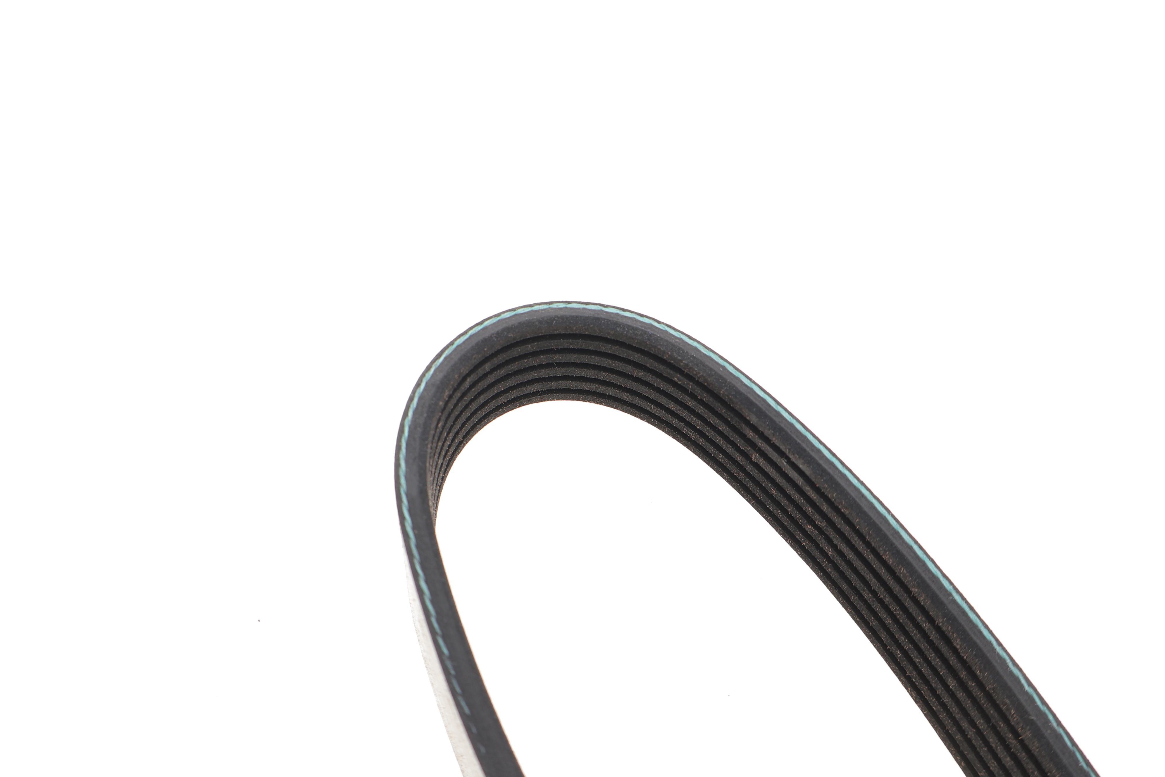 Ремінь генератора Fiat Doblo 1.3D Multijet/1.3JTD 05- (6PK1310)