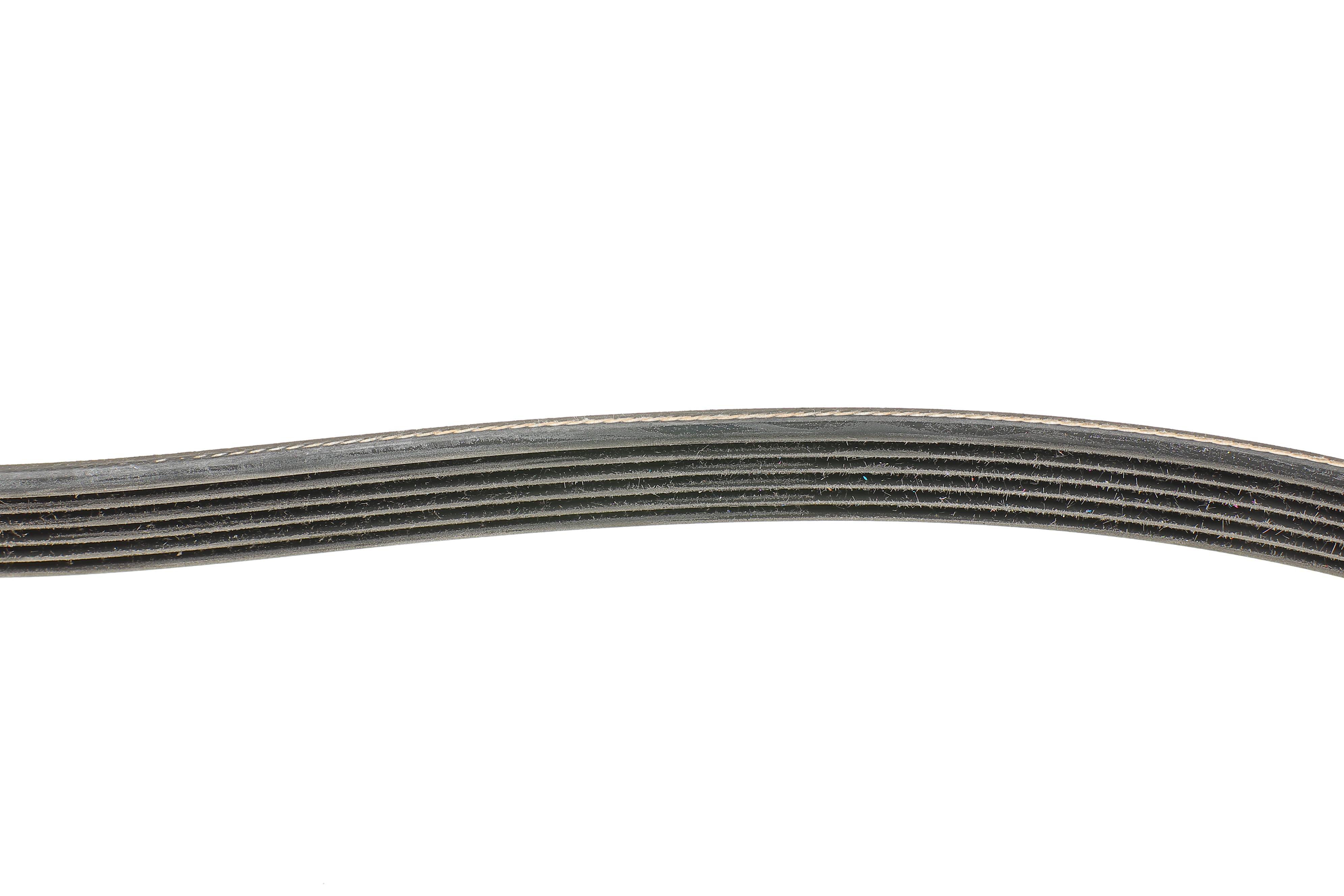 Ремінь генератора Citroen Xantia 3.0 V6 97-03/Mitsubishi L200 2.5 DI-D 05-15