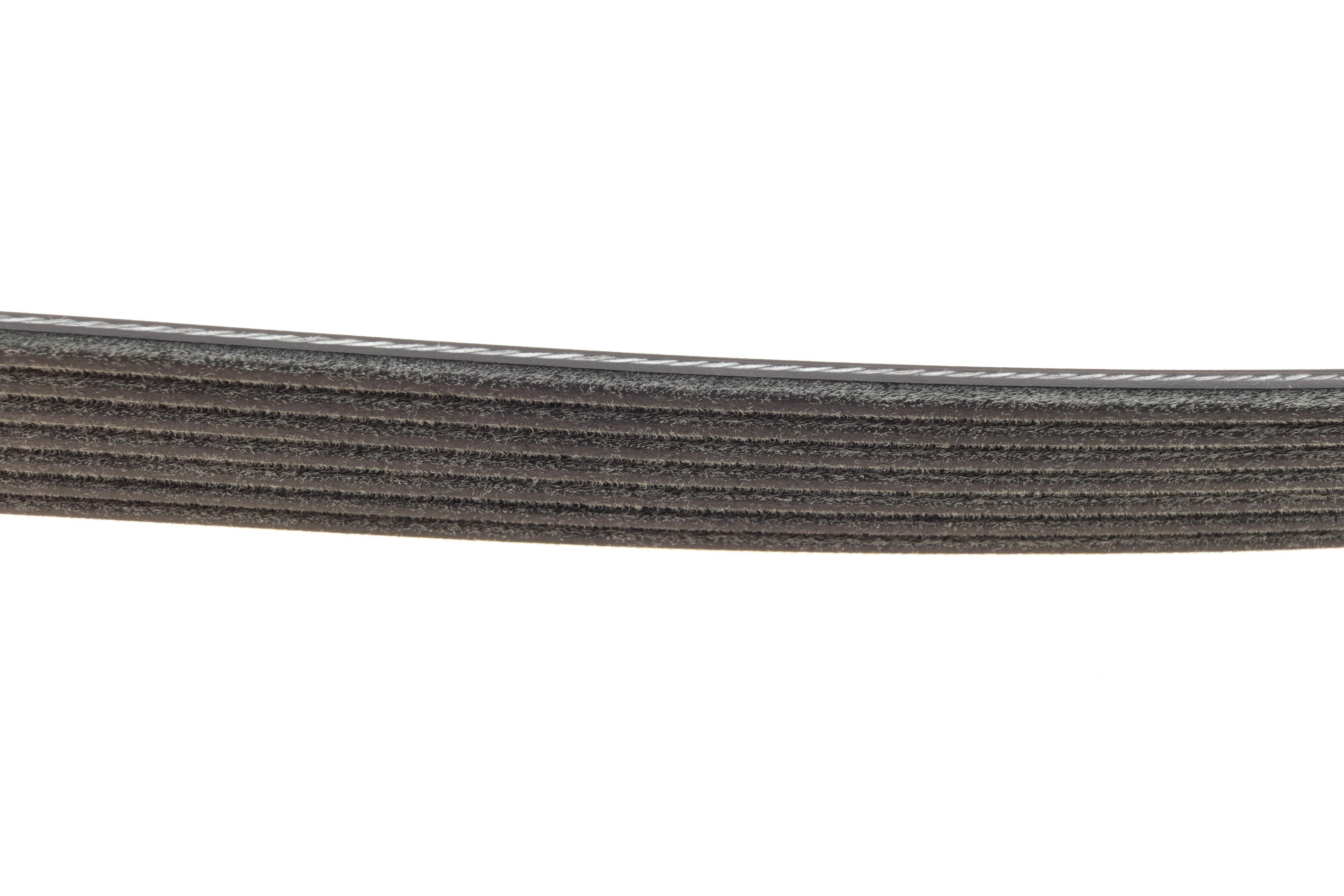 Ремінь генератора Ford Transit 2.4 TDCI 06-