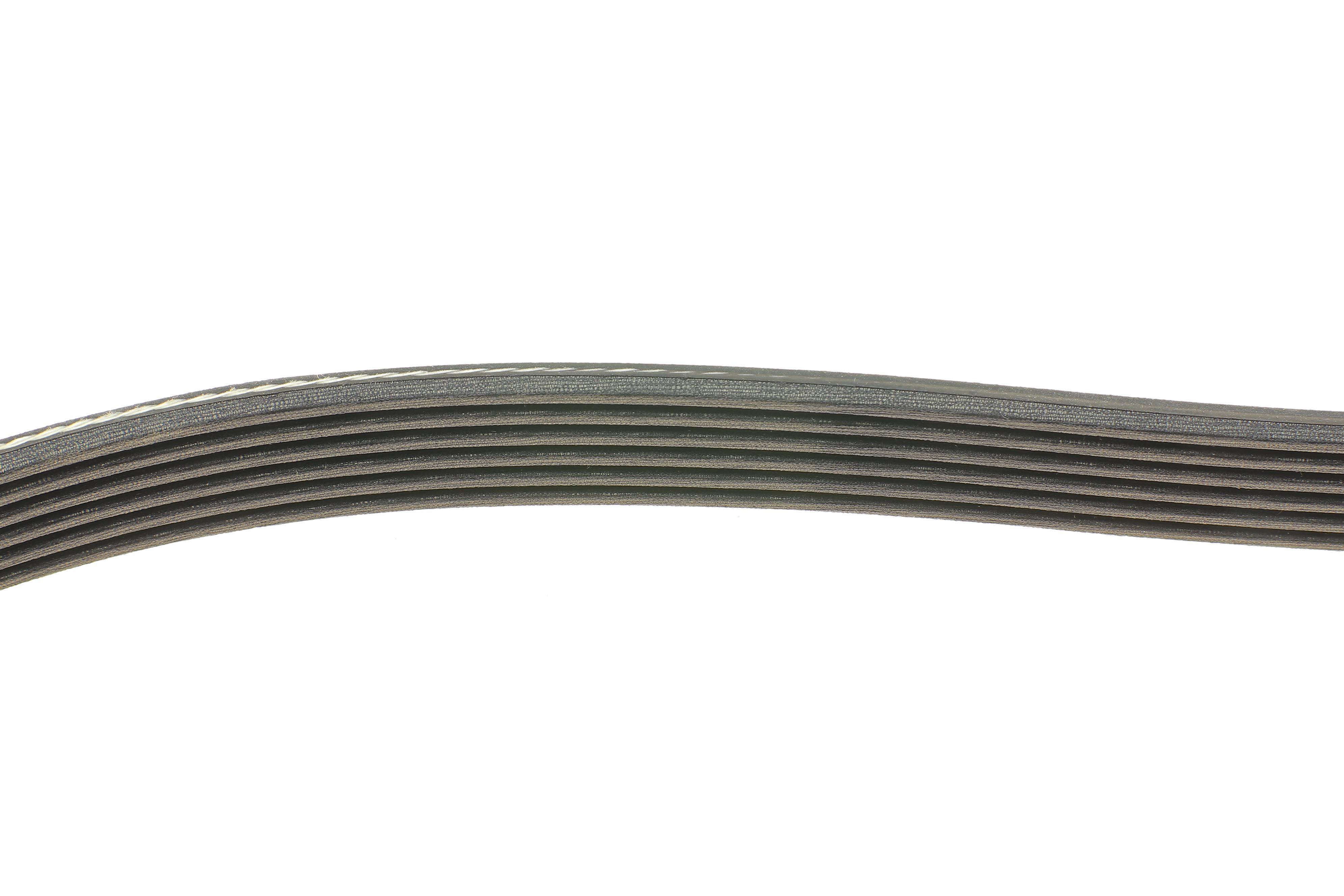 Ремінь генератора VW Caddy III/Fiat Ducato 1.6/2.5TDI 94-02